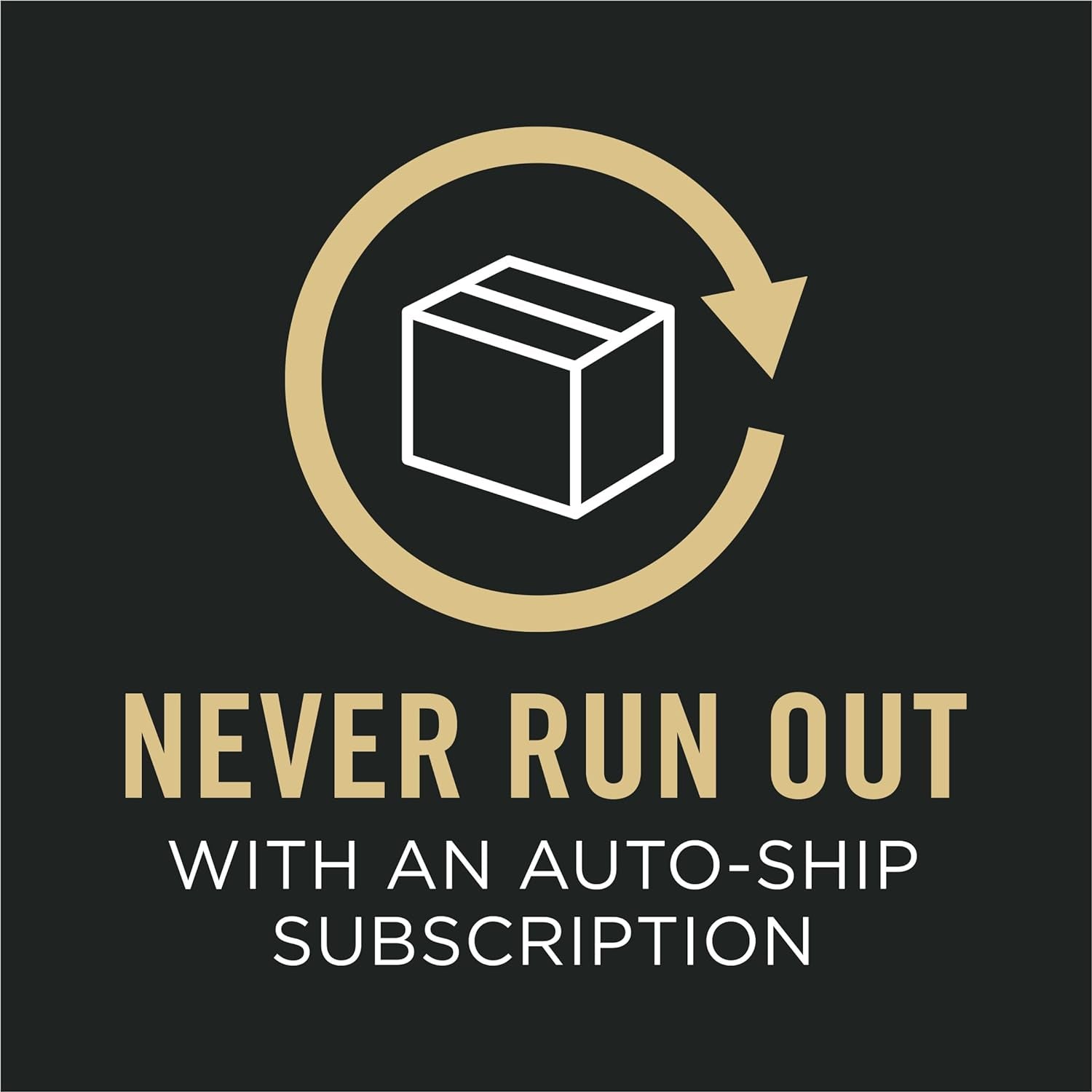 Sensitive Skin and Stomach Dry Dog Food Turkey and Oat Meal - 16 Lb. Bag