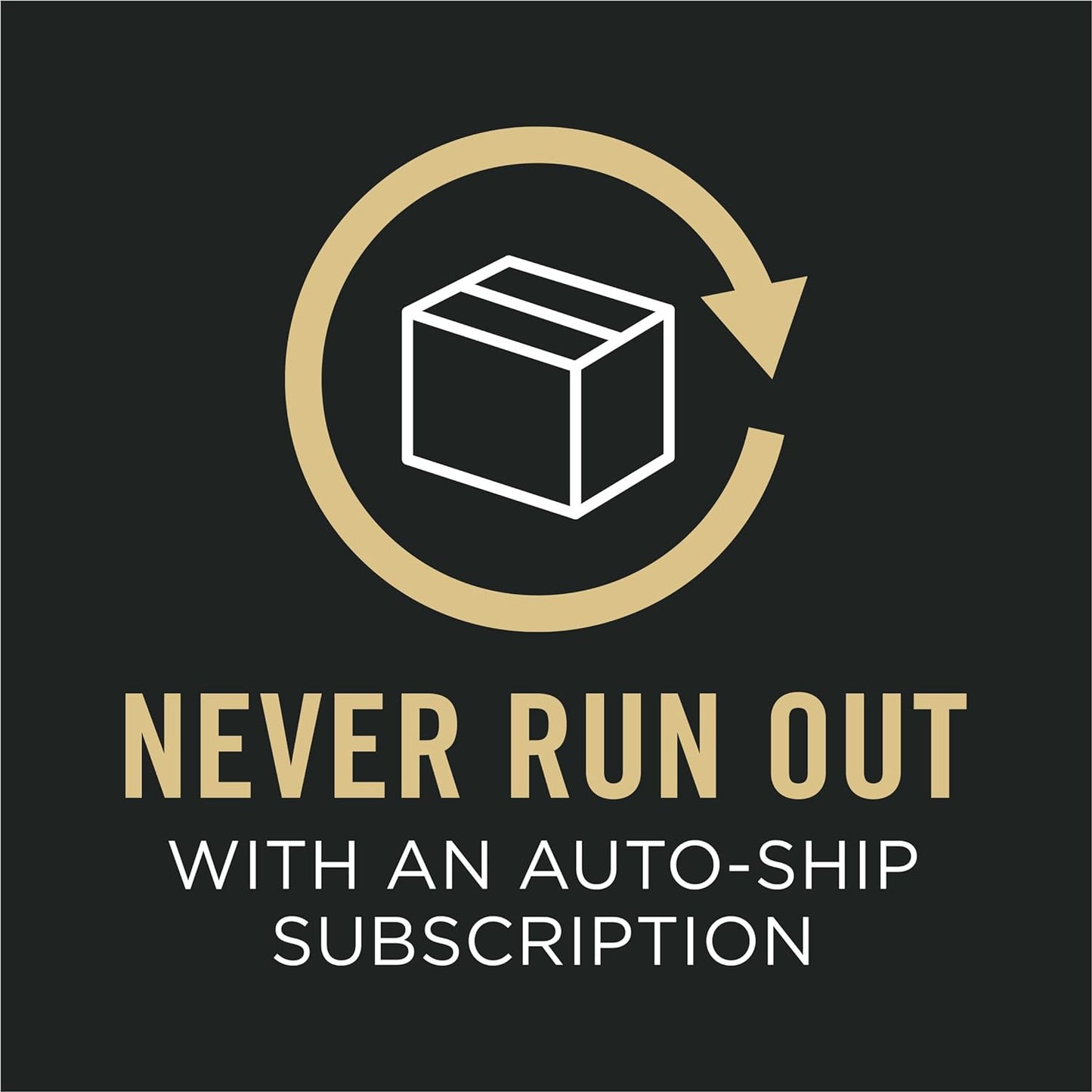 Sensitive Skin and Sensitive Stomach Dog Food Lamb and Oat Meal Formula - 16 Lb. Bag