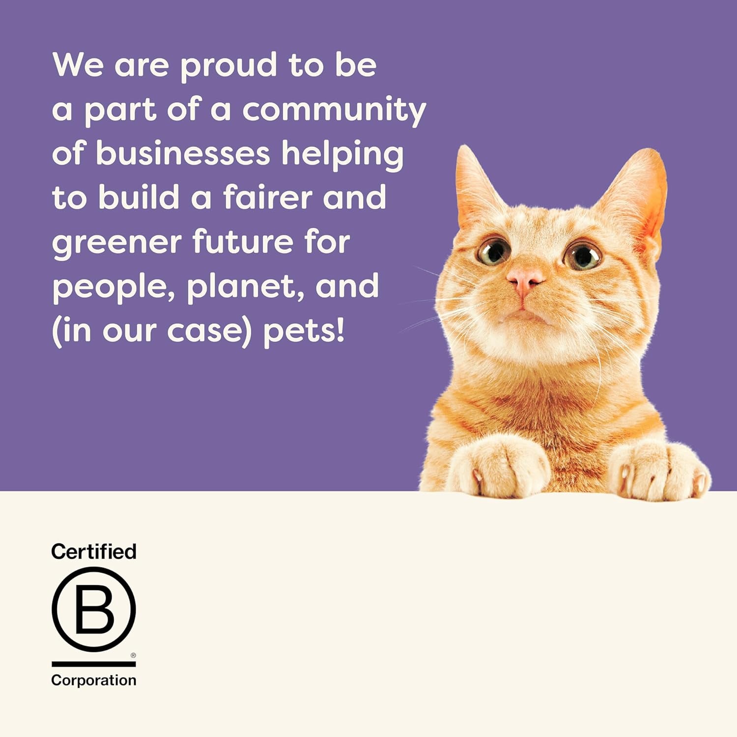 Natural Wet Canned Cat Food, Limited and Natural Ingredients, High Protein with No Artificial Additives, Fish Selection Variety Pack in Broth (16 X 2.47Oz Cans)