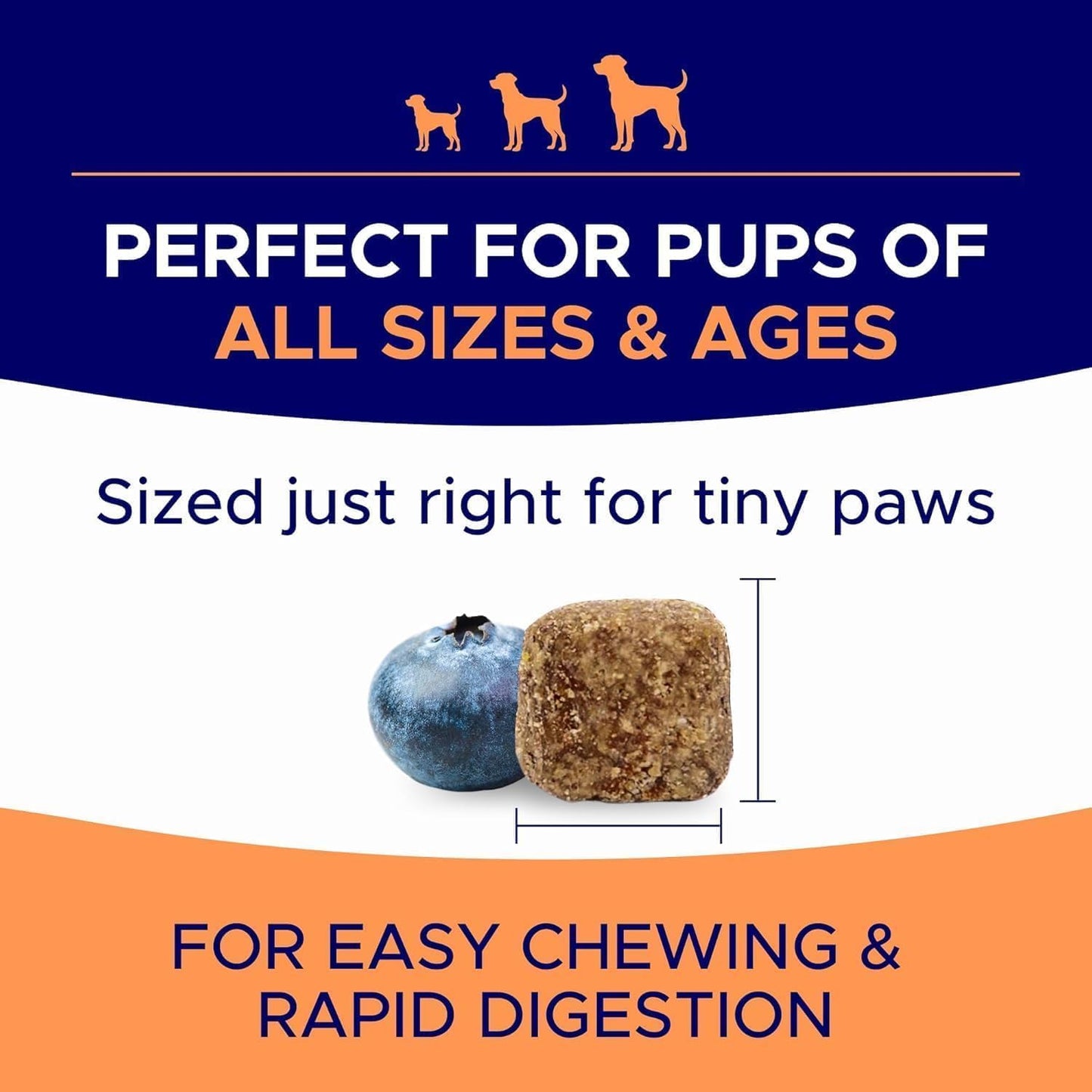 Dog Allergy Relief Chews — Anti-Itch Skin & Coat Supplement: No Fillers, Just Flavor - Itchy Skin Relief Treatment W/Omega 3 Fish Oil - Itching&Paw Licking - Dry Skin&Hot Spots - BBQ Chicken