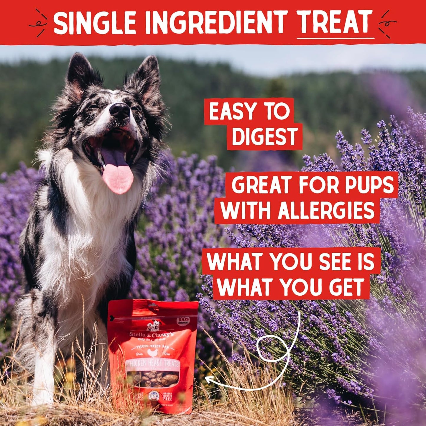 Freeze-Dried Raw Chicken Heart Dog Treats - Single Ingredient, No Additives - Premium Training Treats - Perfect for Picky Eaters - 11Oz Bag