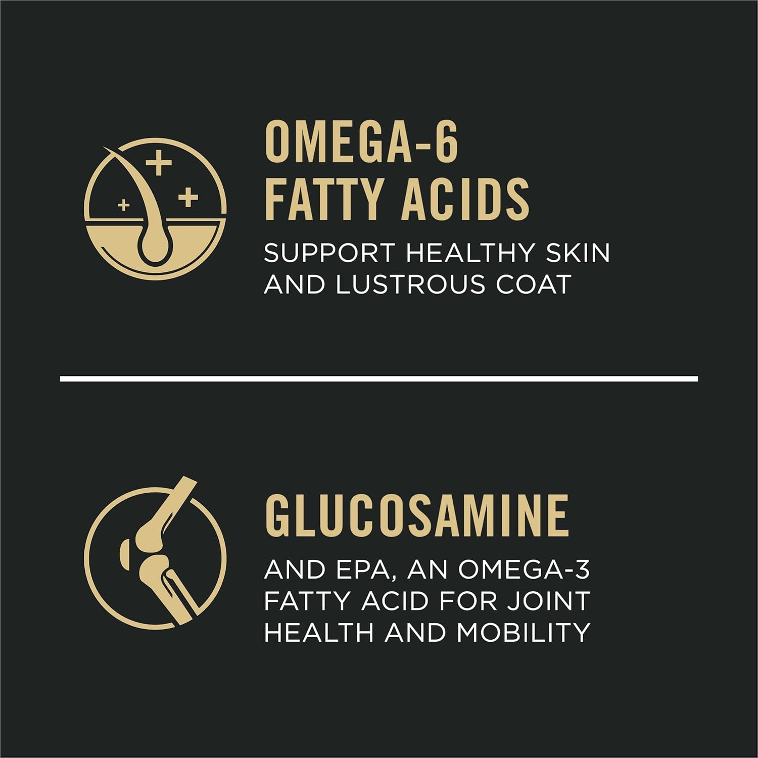 Sensitive Skin and Stomach Dry Dog Food Senior Adult 7 plus Salmon and Rice Formula - 16 Lb. Bag