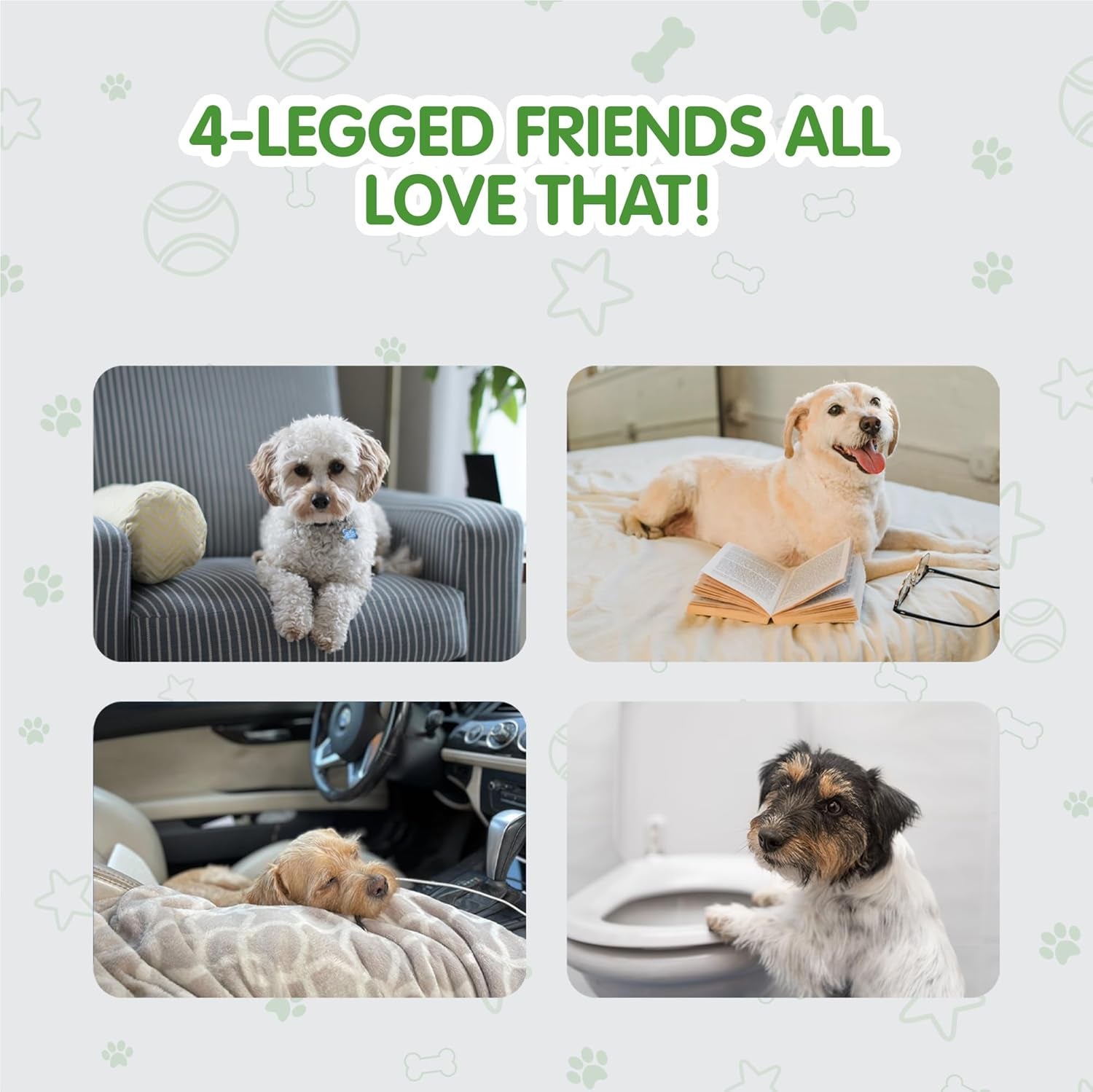 Best Value Dog Training Pads Giant Size | Dog Pee Pads XXXL Size | Super Absorbent Puppy Pads (30" X 45", 30 Count) (XXXL)