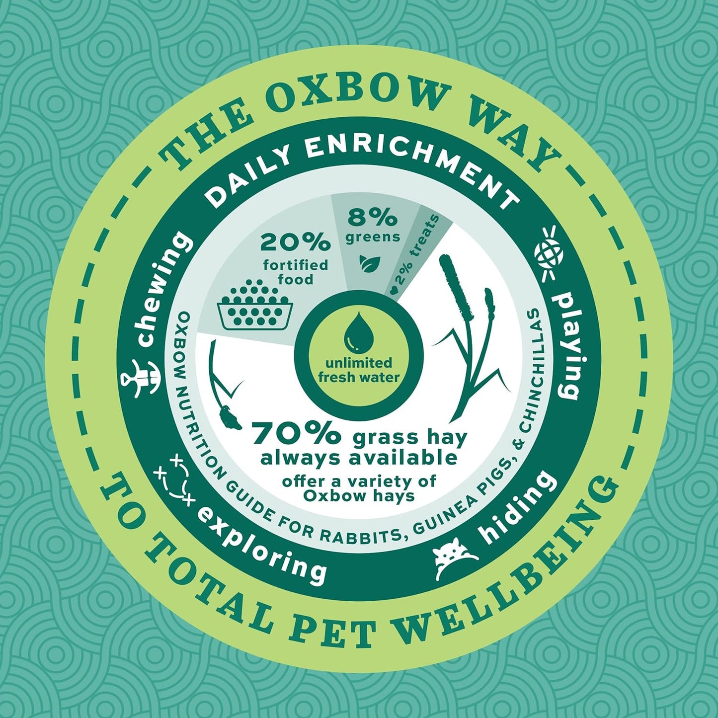 Essentials Guinea Pig Food, Adult Guinea Pig, Made with  Timothy Hay, Pet Food Pellets with Vitamin C, Small Animal Pet Products, Made in USA, High Fiber, 10 Lb. Bag