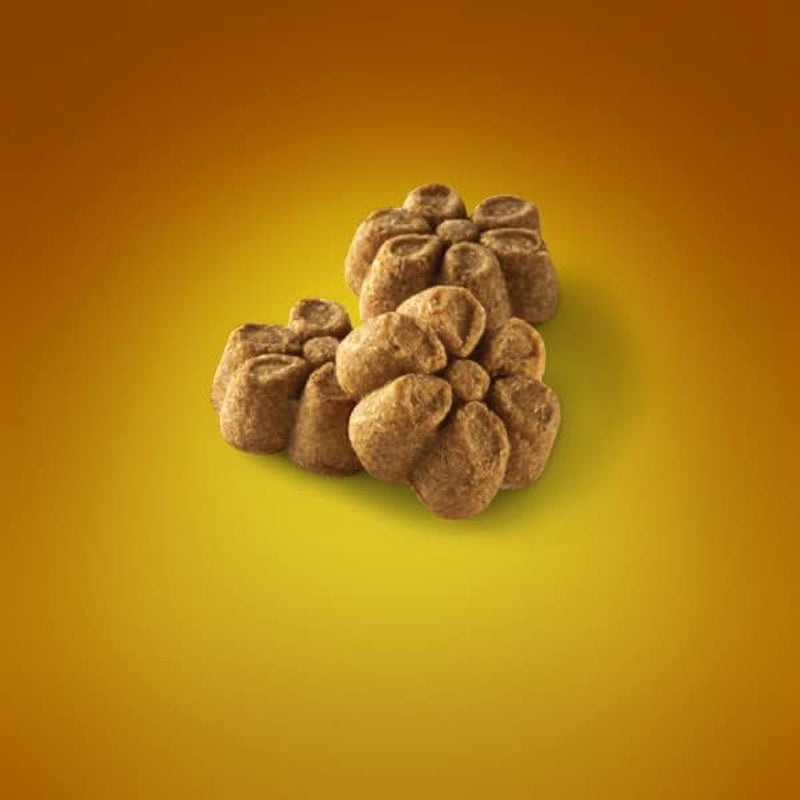 Baked Dog Treats, Healthy Pumpkin Treat for Dogs, Low Calorie & Delicious, Free of Wheat, Corn and Soy, Made in the USA, Pumpkin and Banana Flavor, 7Oz