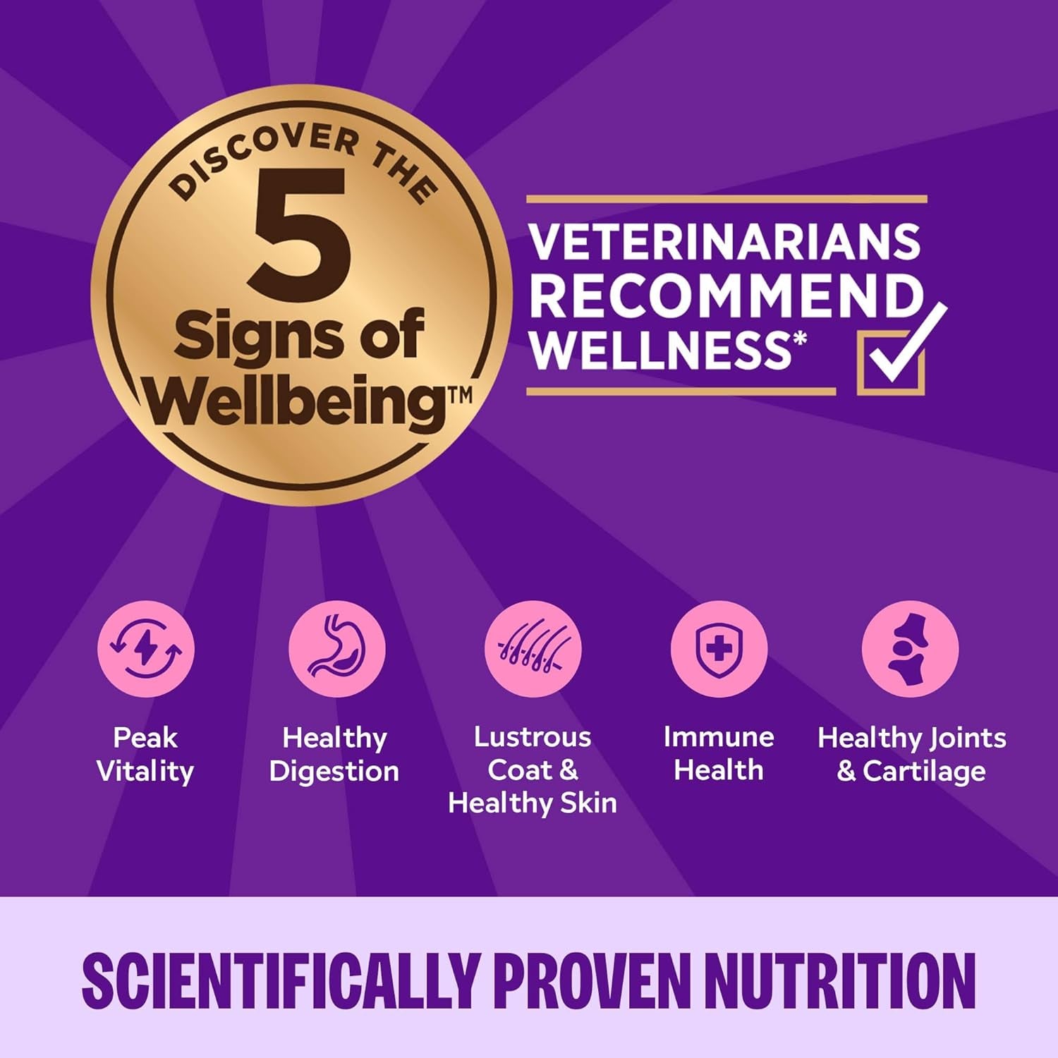 Complete Health Gravy Adult Wet Cat Food, Natural, Protein-Rich, Grain Free, 3 Ounce, 12 Pack, (Chicken Dinner)