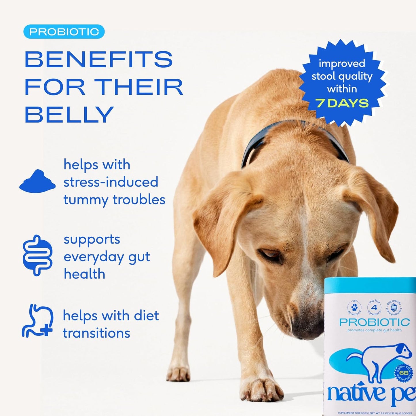 Probiotics for Dogs - Dog Probiotics Powder for Digestive Health, Gut Support, & Immune Boost – Vet-Formulated Powder for Maximum Potency with Digestive Enzymes & Prebiotics - 120 Scoops