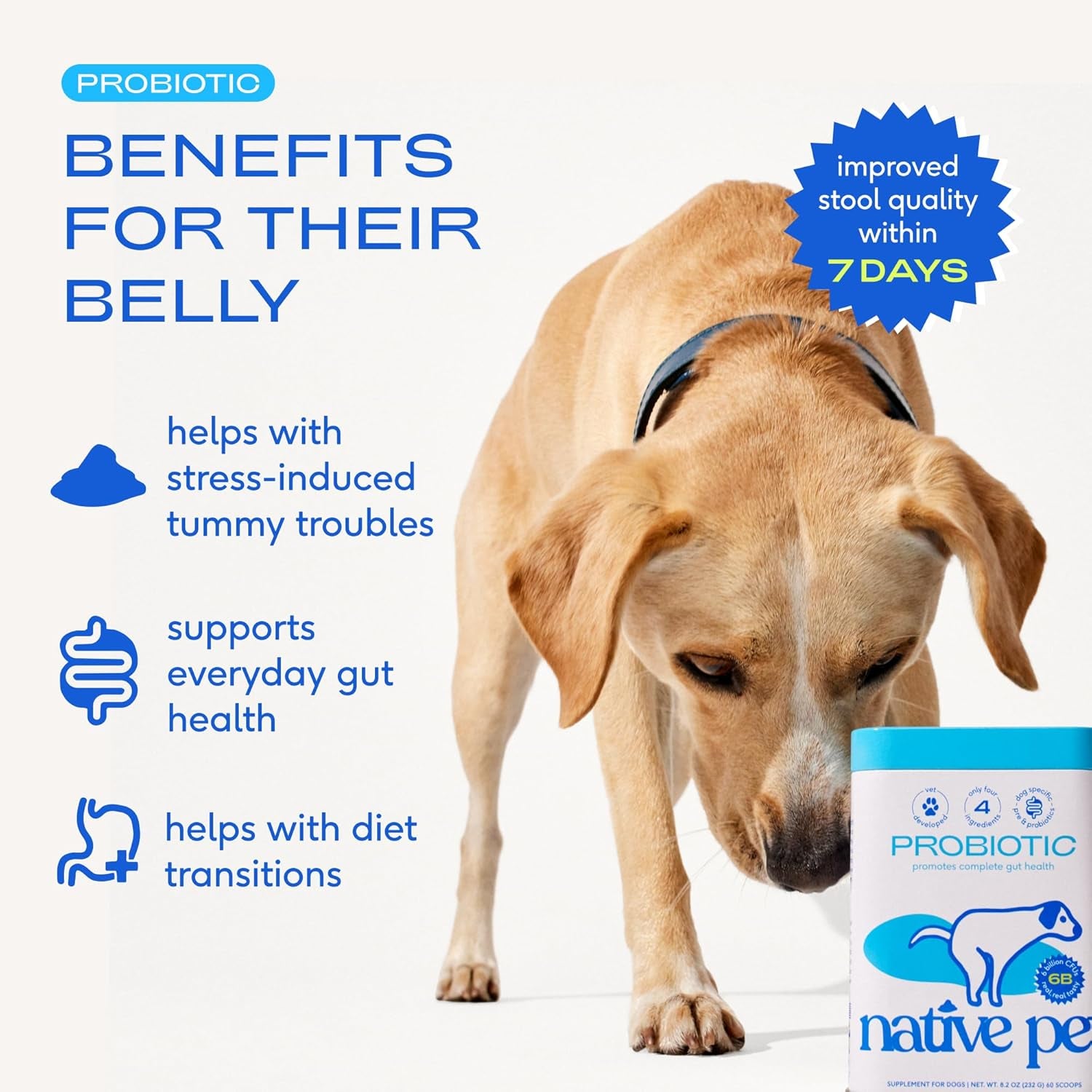 Probiotics for Dogs - Dog Probiotics Powder for Digestive Health, Gut Support, & Immune Boost – Vet-Formulated Powder for Maximum Potency with Digestive Enzymes & Prebiotics - 120 Scoops