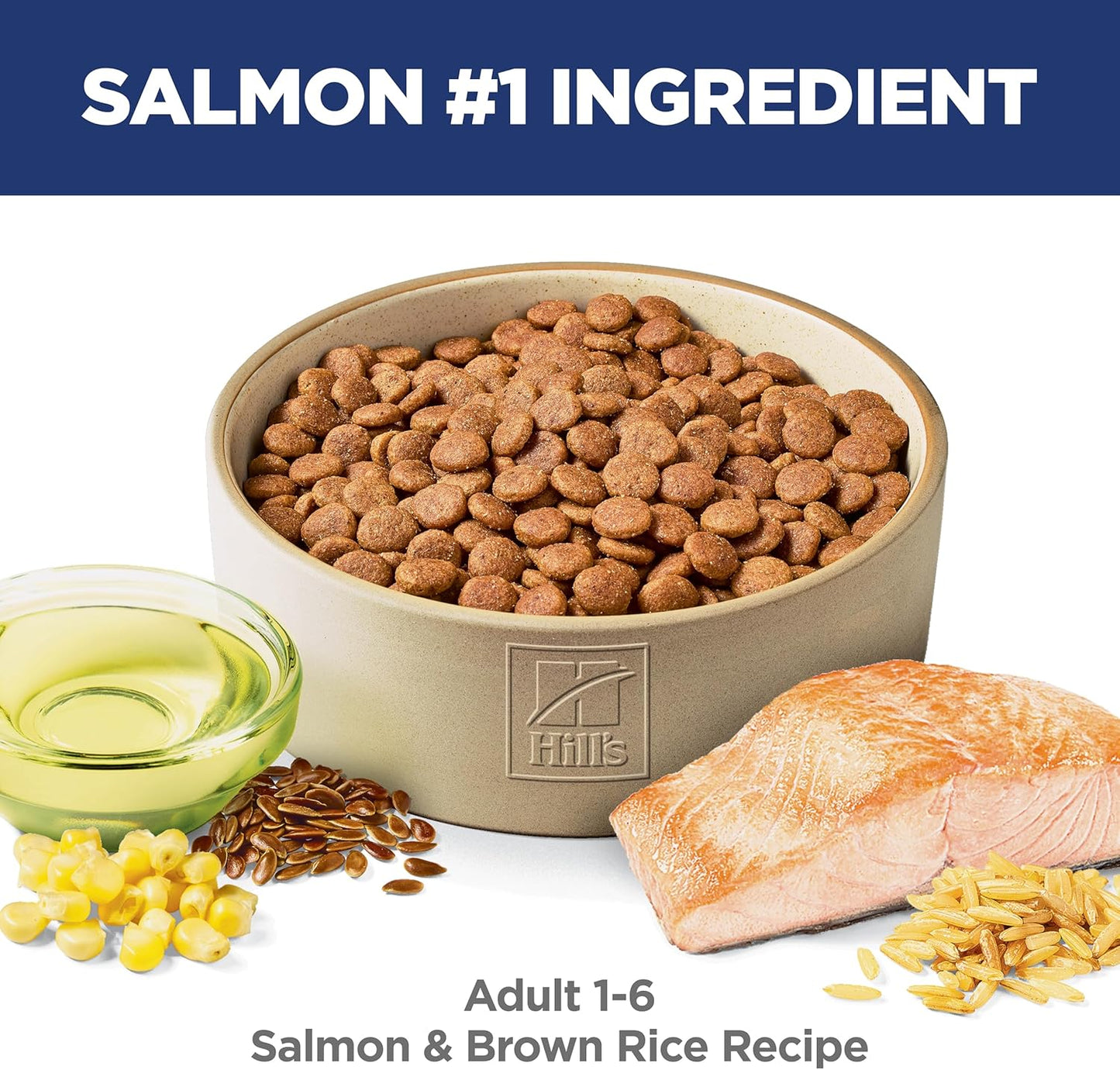 Adult 1-6, Adult 1-6 Premium Nutrition, Dry Dog Food, Salmon & Brown Rice, 14 Lb Bag