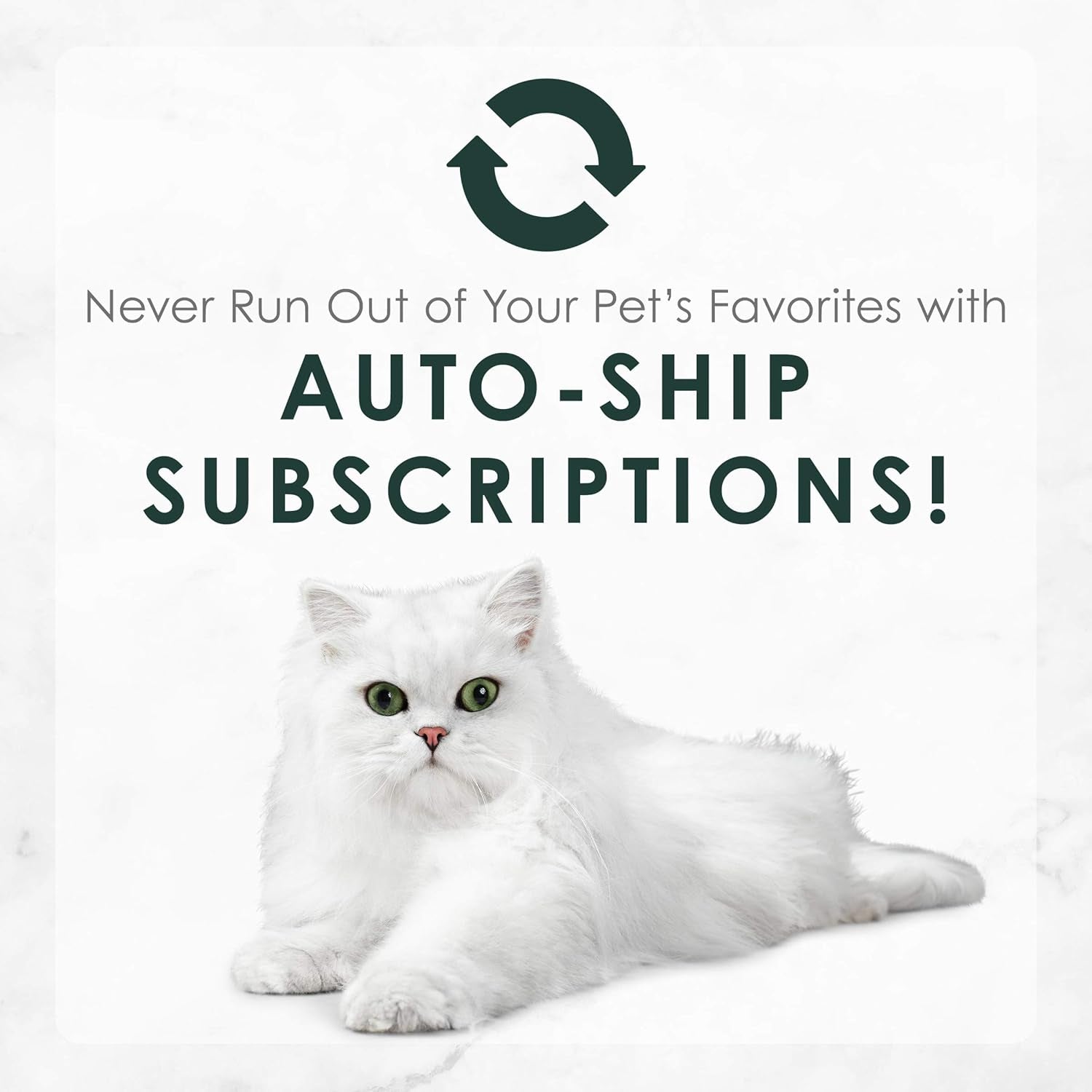 Purina  Senior Wet Cat Food 7 Years plus Beef Feast Pate - (Pack of 24) 3 Oz. Cans