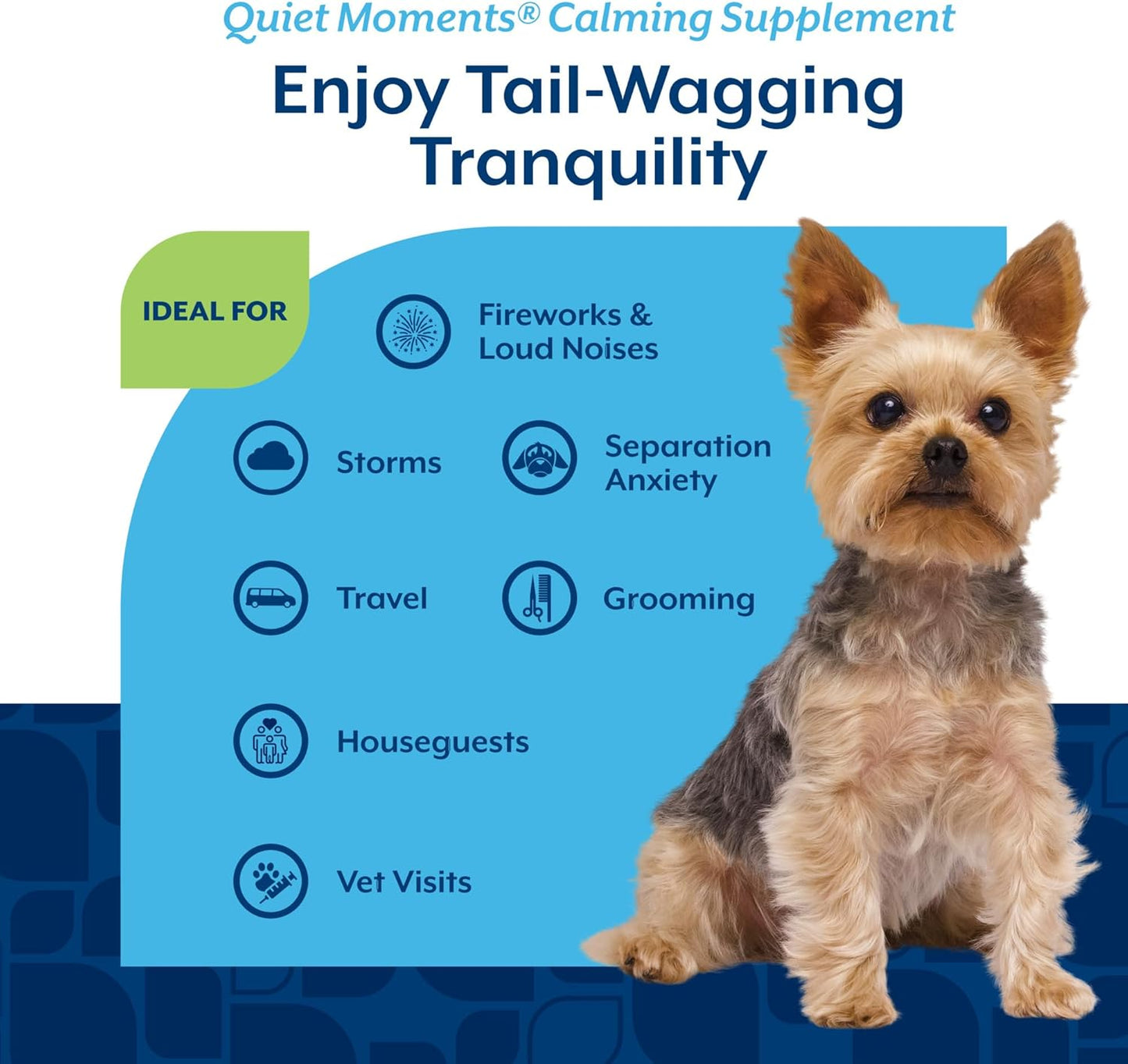 Quiet Moments Calming Dog Supplement, Dog Soft Chews with Melatonin to Help Reduce Stress from Storms, the Vet, Fireworks, and Travel, Bacon and Chicken Flavored Pet Supplement, 180 Count Jar