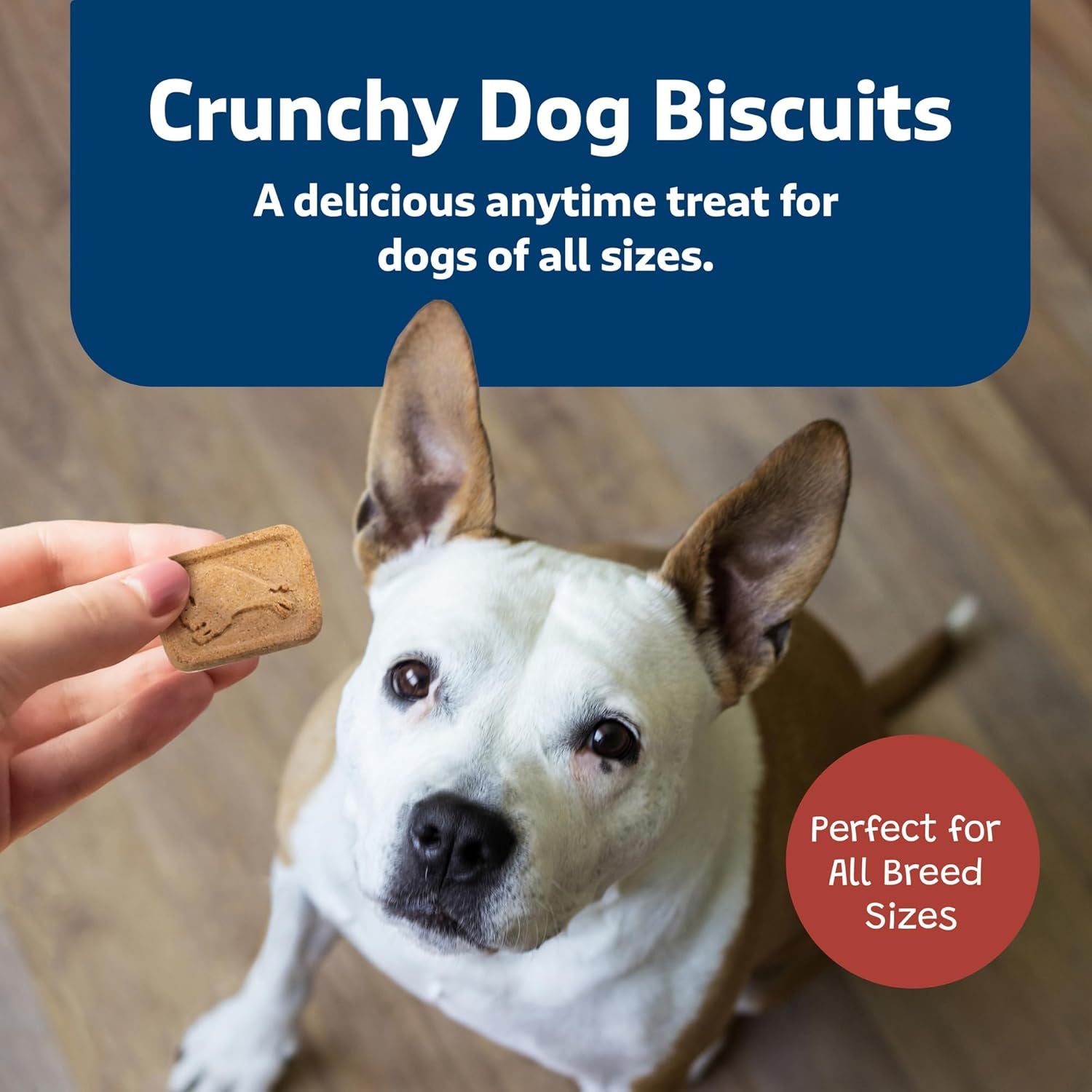 Health Bars Crunchy Dog Biscuits, Oven-Baked with Natural Ingredients, Bacon, Egg & Cheese , 16-Oz Bag
