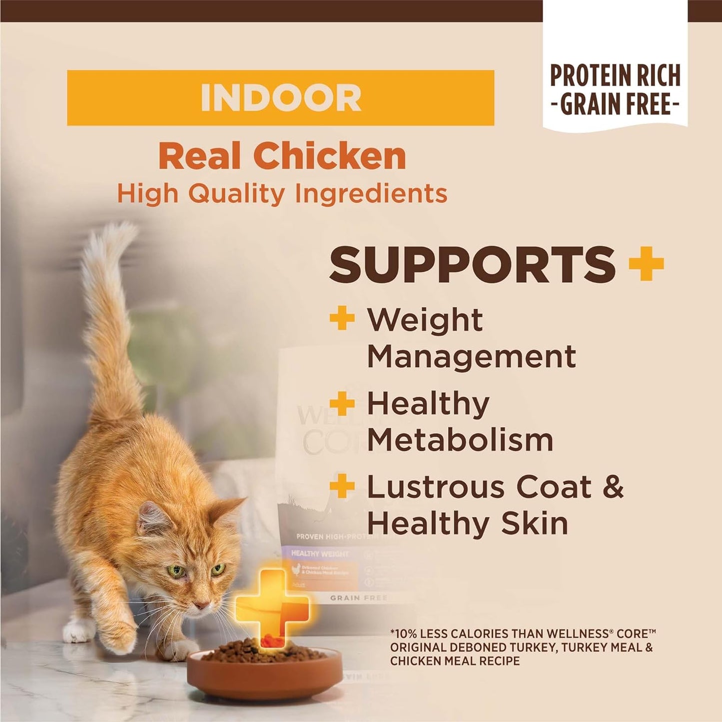 CORE+ Adult Dry Cat Food for Indoor Cats, Grain-Free, Natural, Chicken, Turkey & Chicken Meal (5 Pound Bag)