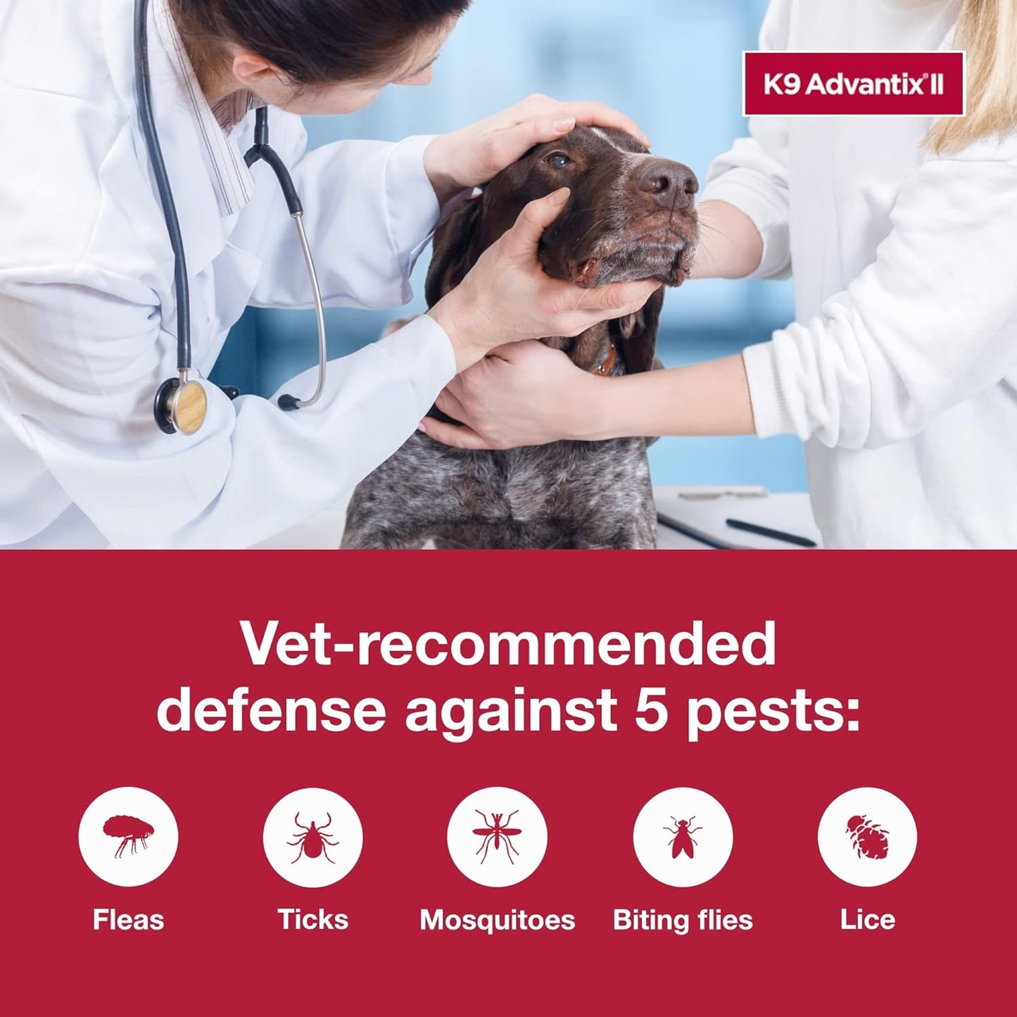 II XL Dog Vet-Recommended Flea, Tick & Mosquito Treatment & Prevention | Dogs over 55 Lbs. | 4-Mo Supply