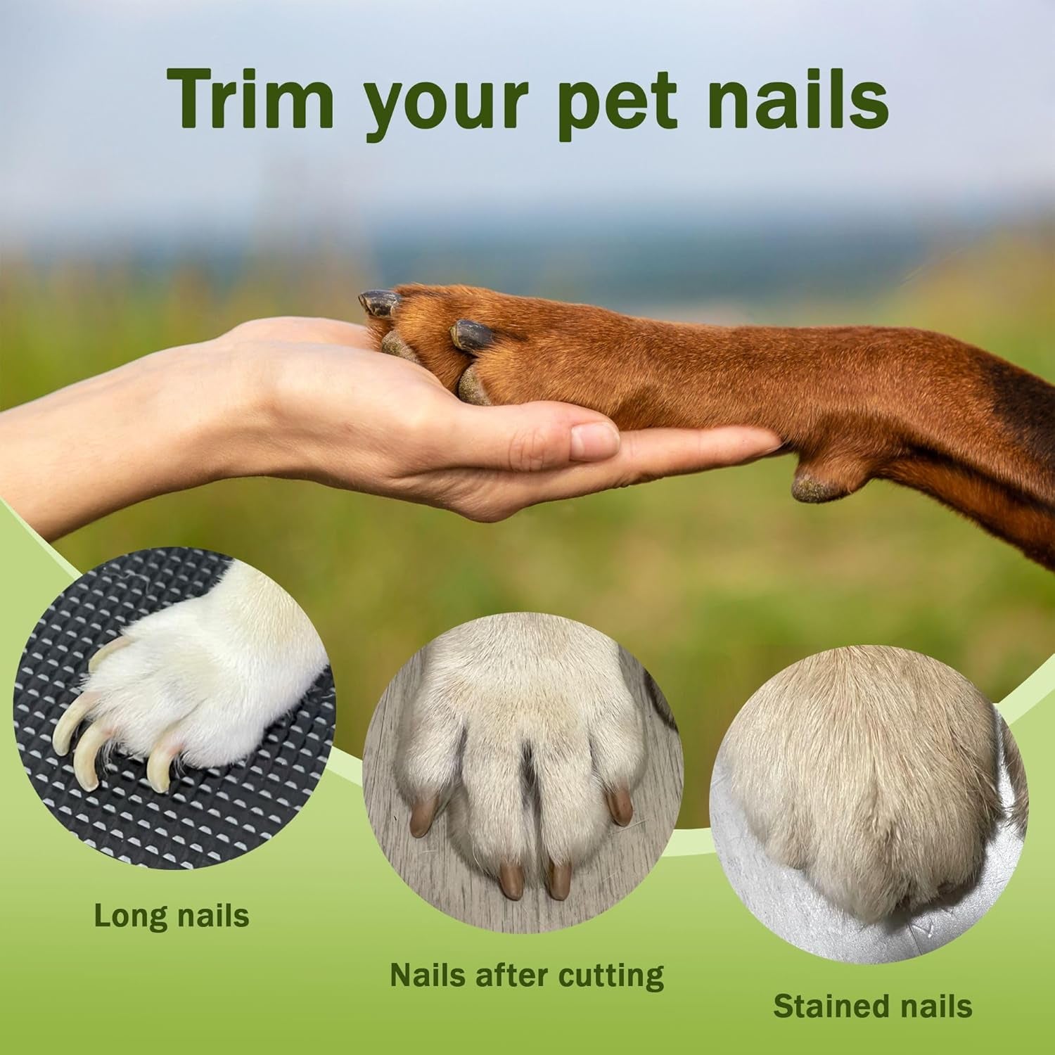 2-In-1 Dog Nail Grinder & Dog Nail Clippers Trimmers for Large Medium Small Dogs Cats Pets Claw Trimmer with LED Lights (Green)