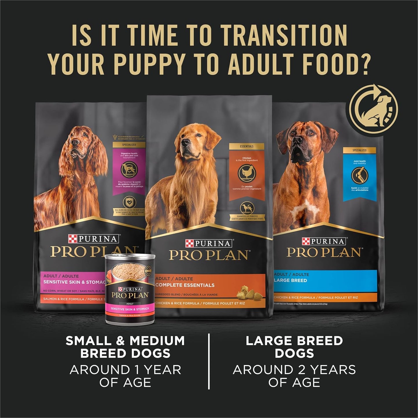High Protein Dry Puppy Food, Chicken and Rice Formula - 6 Lb. Bag