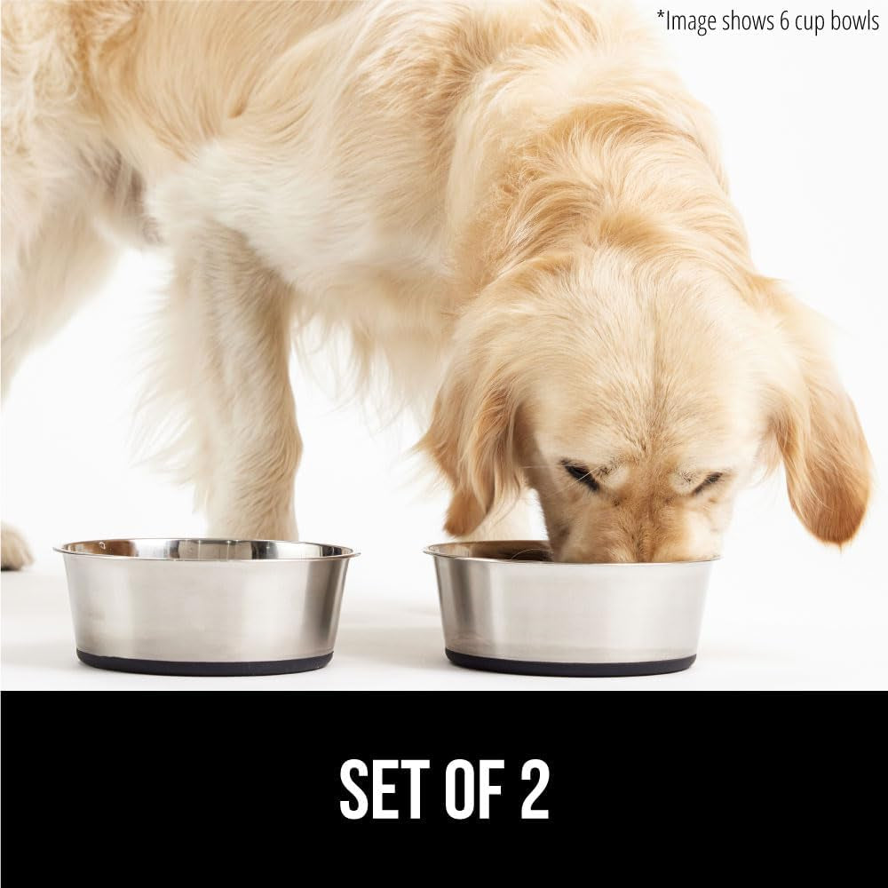 Set of 2 Dog Bowls, Holds 6 Cups (48 Fl Oz), Heavy Duty Metal Food and Water Bowl for Feeding Dogs and Cats, Dishwasher Safe, Rust Resistant Stainless Steel, BPA Free Rubber Base, Black