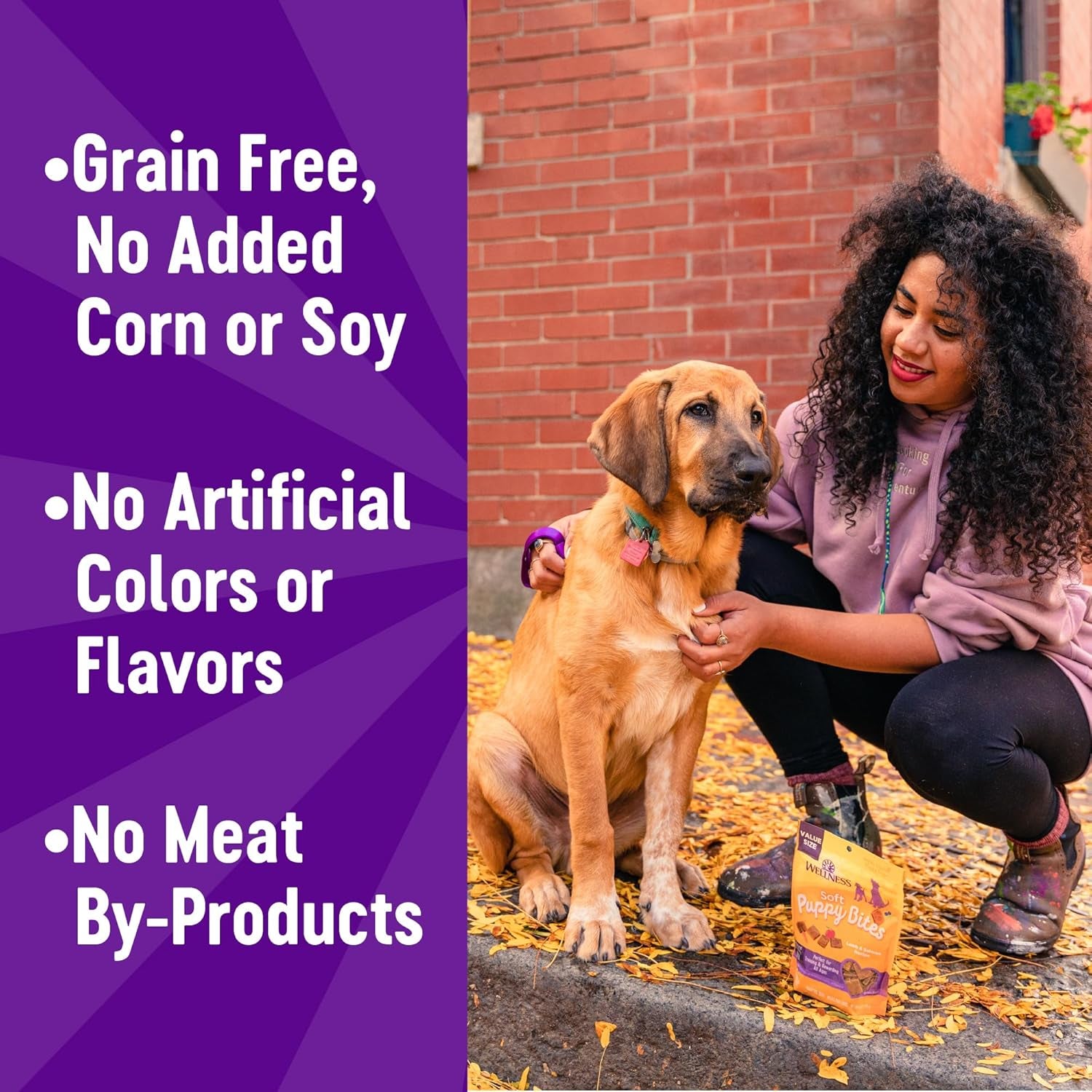 Puppy Treats, Natural, Training Treat, Grain Free, Soft Lamb & Salmon (3 Ounce Bag)