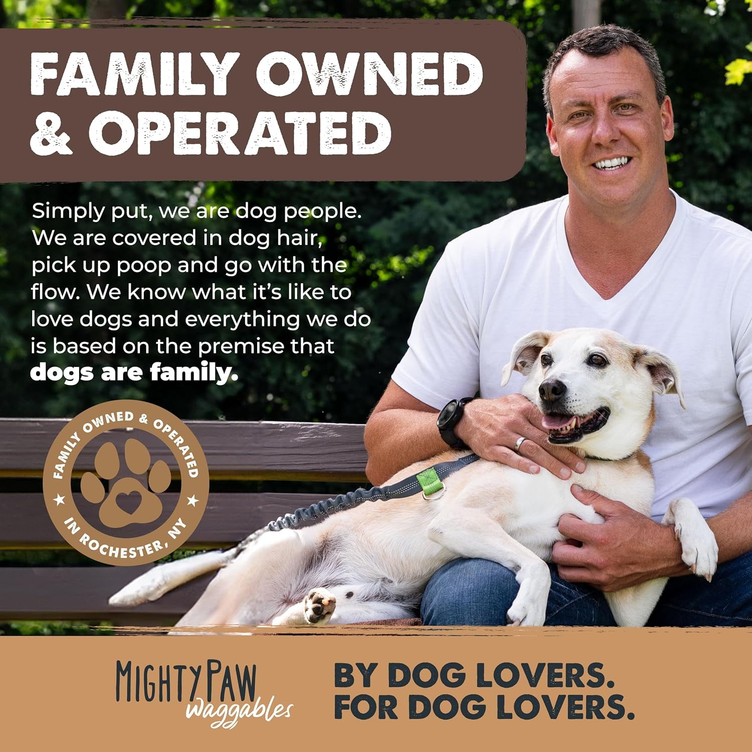 Naturals Bully Sticks for Dogs - Grass Fed Beef Dog Chews. Pets Stick for Large Dogs, Medium and Small Breeds. Lower Odor Bully Treats for Small Pets. Single Ingredient (6" - 25 Pack)