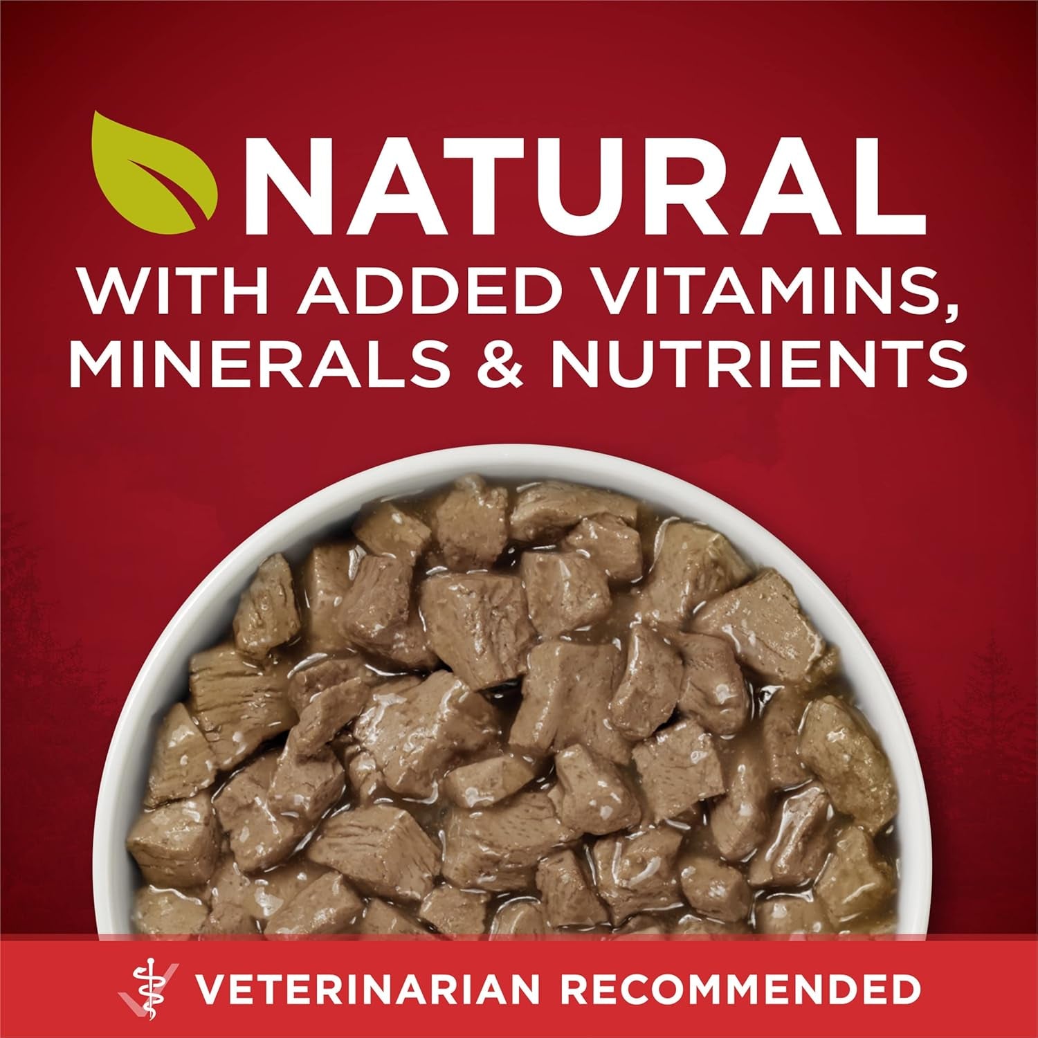 High Protein Wet Dog Food True Instinct Tender Cuts in Dog Food Gravy with Real Beef and Wild-Caught Salmon - (Pack of 12) 13 Oz. Cans