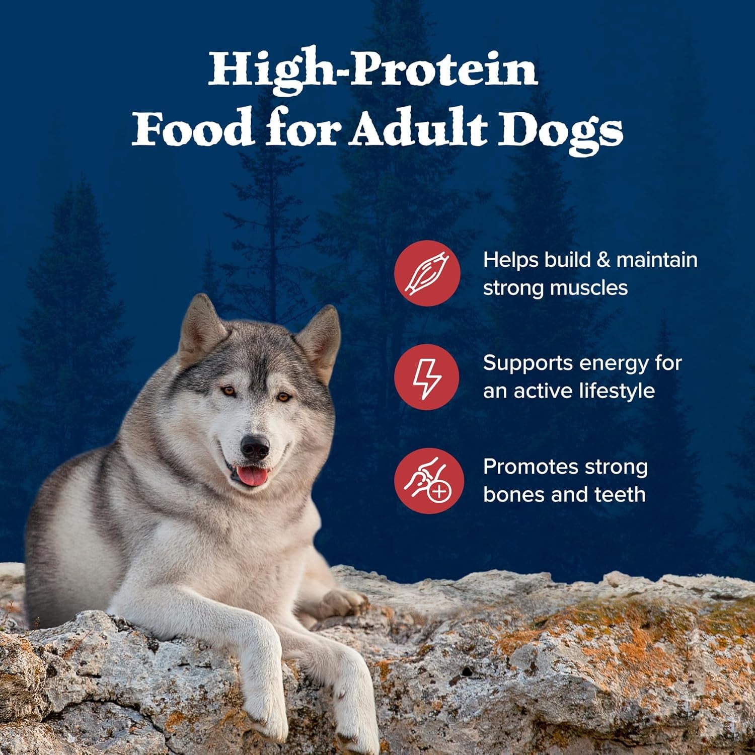 Wilderness Rocky Mountain High-Protein Adult Dry Dog Food Wholesome Grains Red Meat, 24Lb. Bag