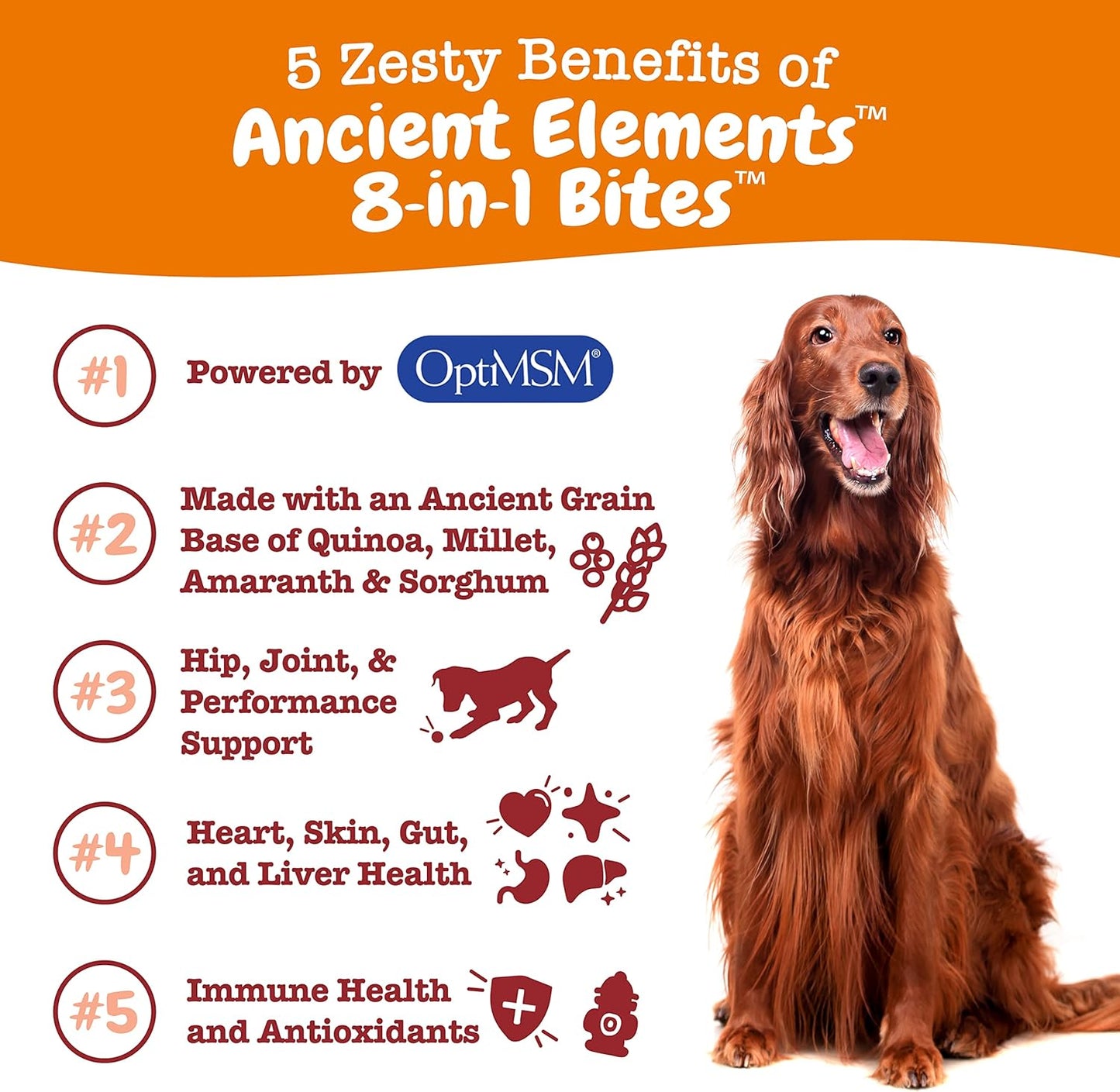 Dog Multivitamin, Chewable Dog Vitamins and Supplements for Hip & Joints, Skin & Coat, Omega 3 Fish Oil for Dogs- Senior & Puppy Multivitamin - Bison- 90Ct