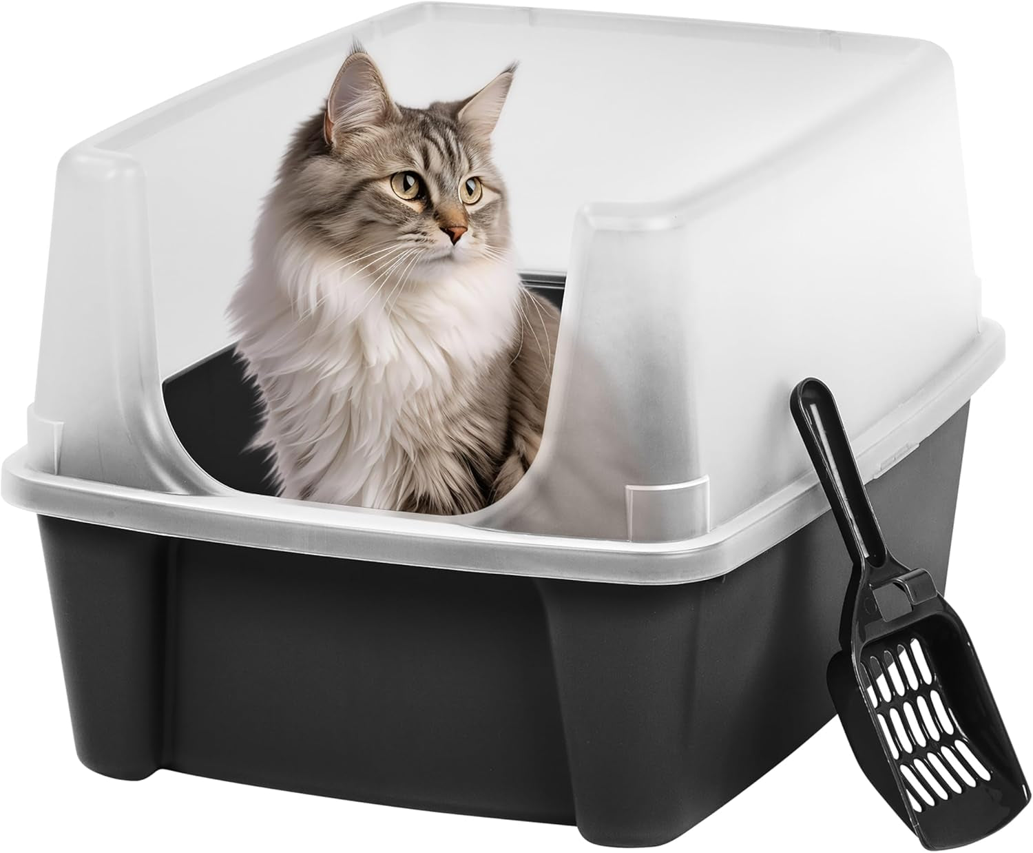 USA Large Open Top Cat Litter Box with High Sides, Scatter Shield & Scoop, Black - Easy Clean Plastic Litter Pan for Indoor Cats, Kittens or Multicat Homes