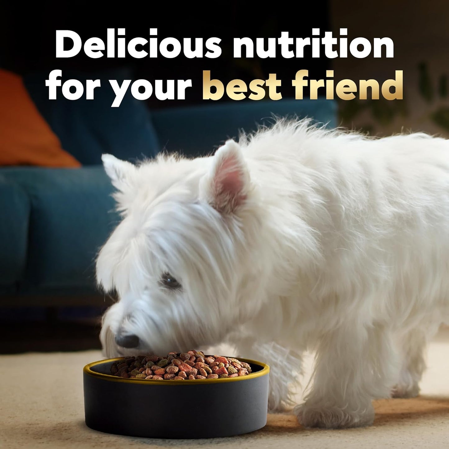 Small Breed Dry Dog Food Porterhouse Flavor and Spring Vegetables Garnish, 5 Lb. Bag