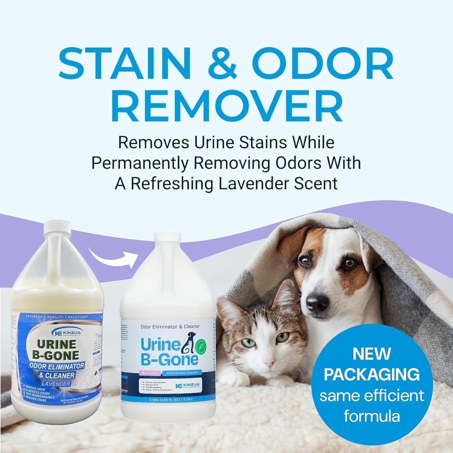 Urine B-Gone, Professional Enzyme Odor Eliminator & Pet Stain Remover, Human, Cat & Dog Urine Cleaner, Effective on Laundry, Carpets & More, Lavender Scent, 1 Gallon