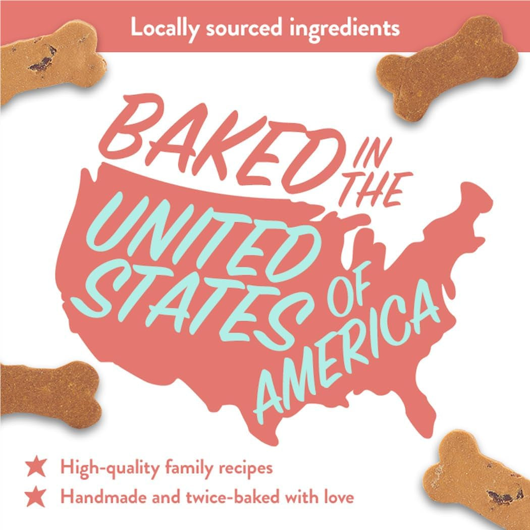 Pumpkin Healthy Dog Treats - Grain-Free, Human-Grade, All Natural Dog Training Treats & Biscuits Made in the USA Only 1-Pack (5 Oz)