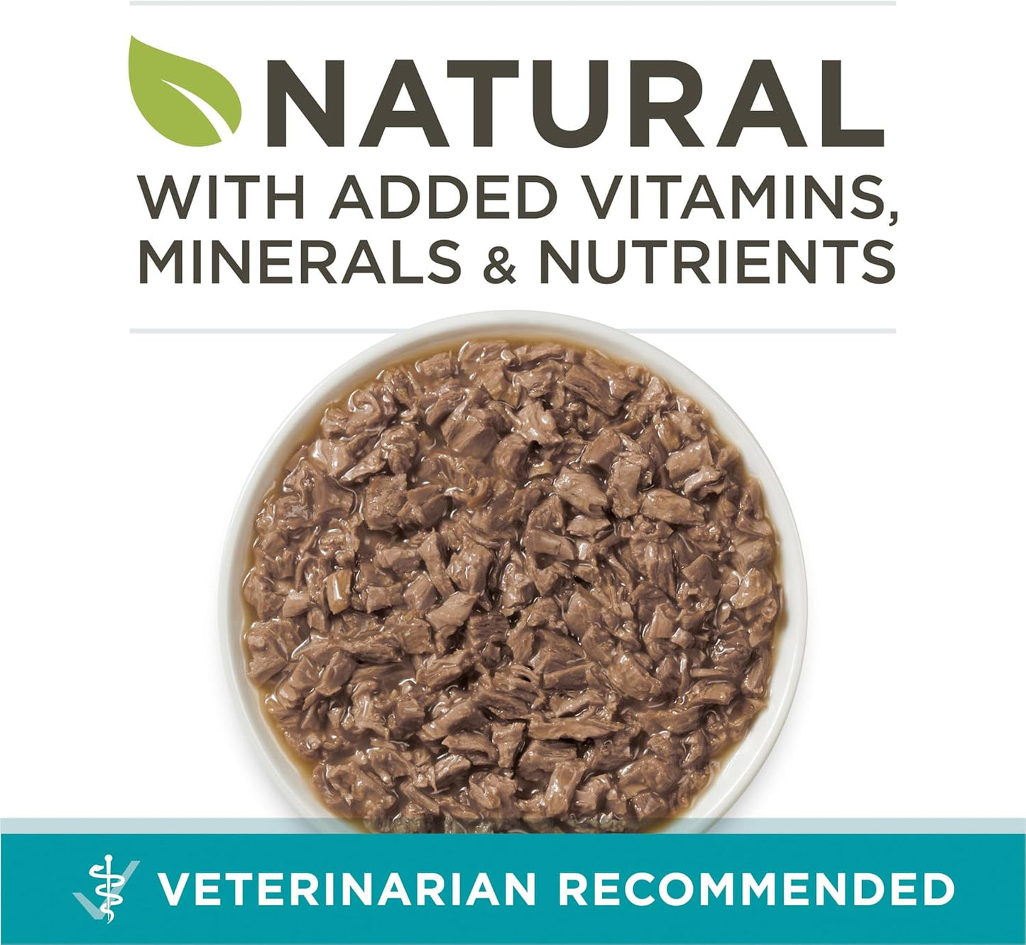 Natural High Protein Cat Food, Chicken Recipe in Wet Cat Food Gravy - (Pack of 24) 3 Oz. Pull-Top Cans