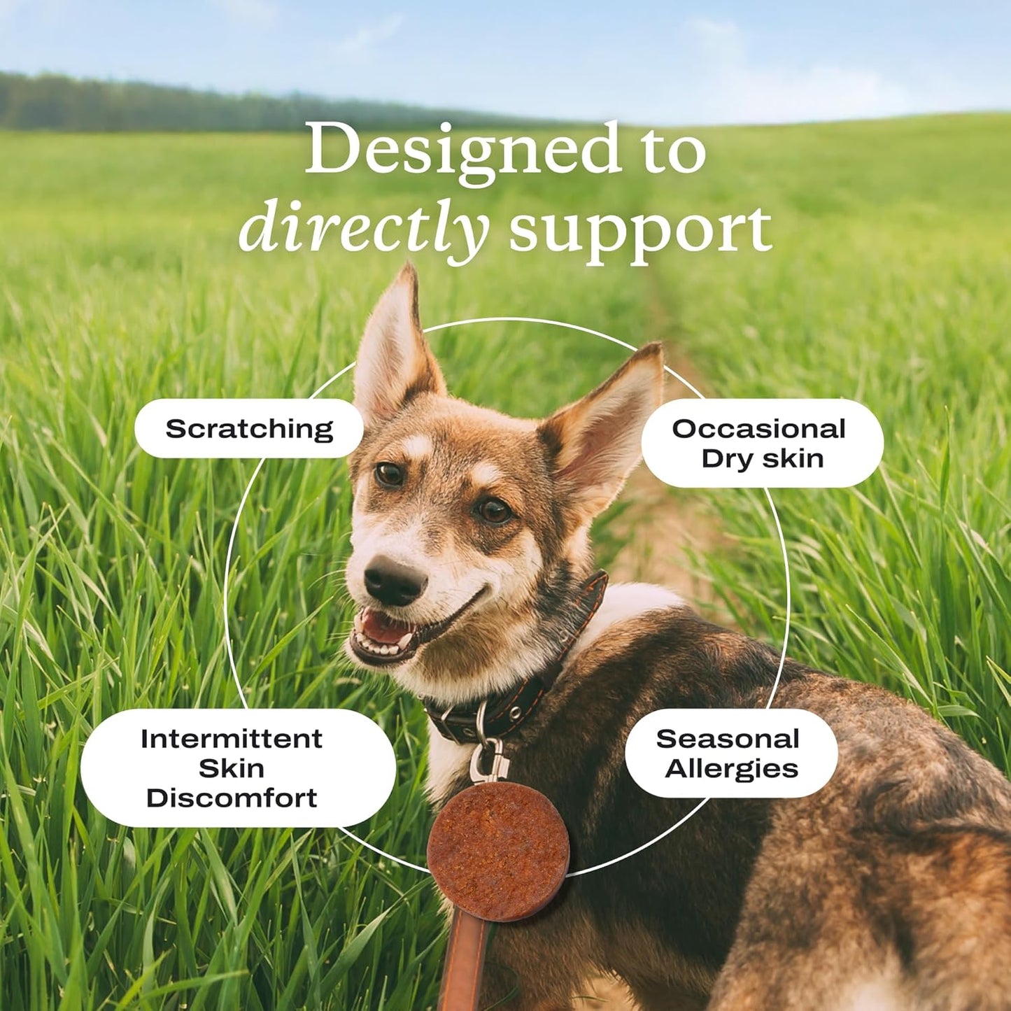 Salmon Itch Relief Chew Pro for Dogs – Omega 3 for Dogs Itch Supplement - Packed with Beneficial Fatty Acids for Healthy Skin – Seasonal Allergies Support - Packaging May Vary