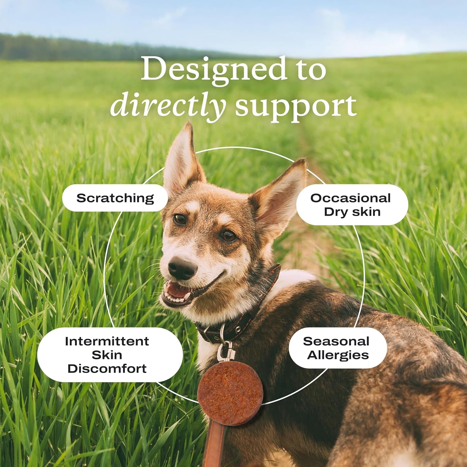 Salmon Itch Relief Chew Pro for Dogs – Omega 3 for Dogs Itch Supplement - Packed with Beneficial Fatty Acids for Healthy Skin – Seasonal Allergies Support - Packaging May Vary