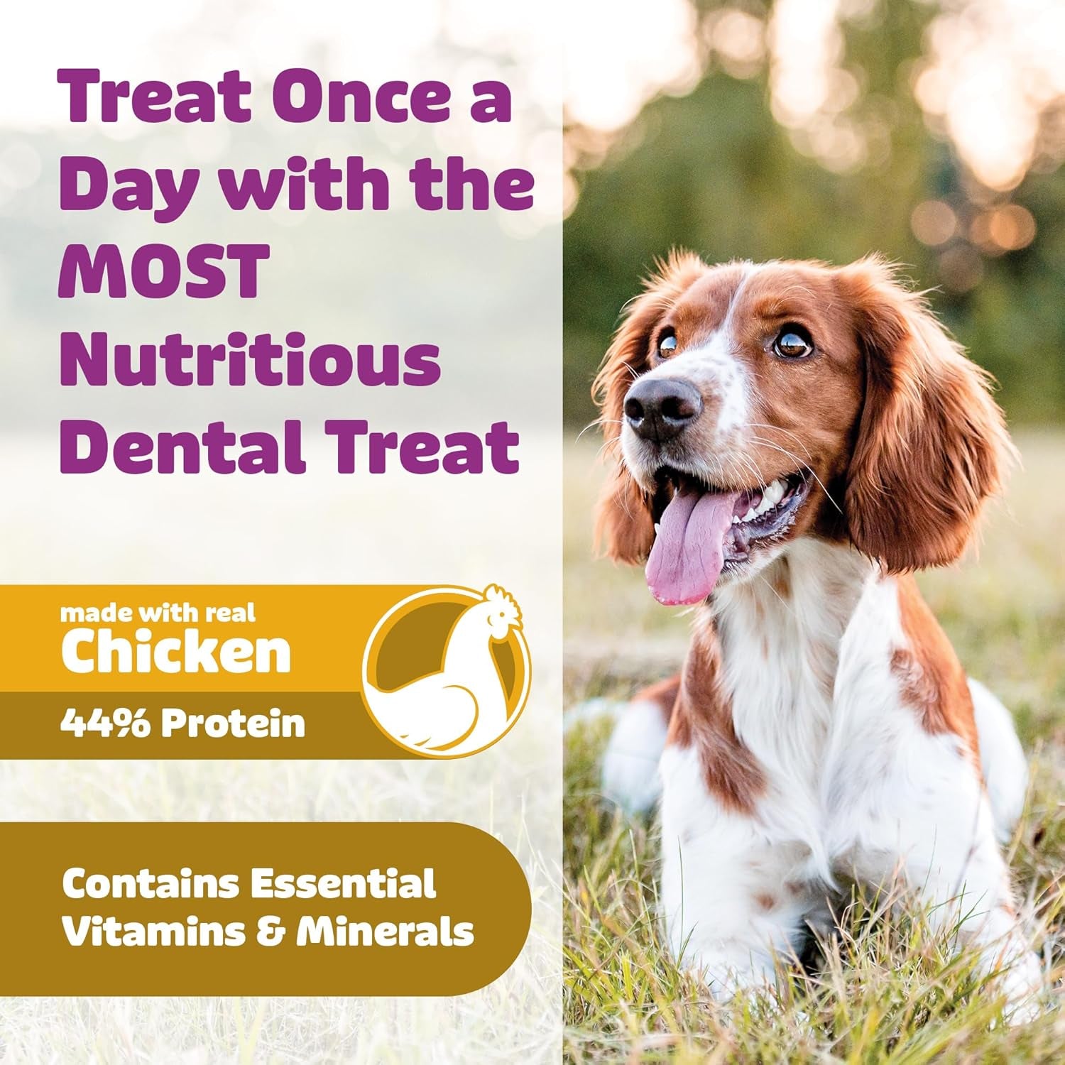 Dog Dental Treats – Vet VOHC Approved – Delicious Chicken Protein – Removes Tartar with Cleaning Comb Shape – Dental Dog Treats for Medium Dogs (24Oz, 30 Count)