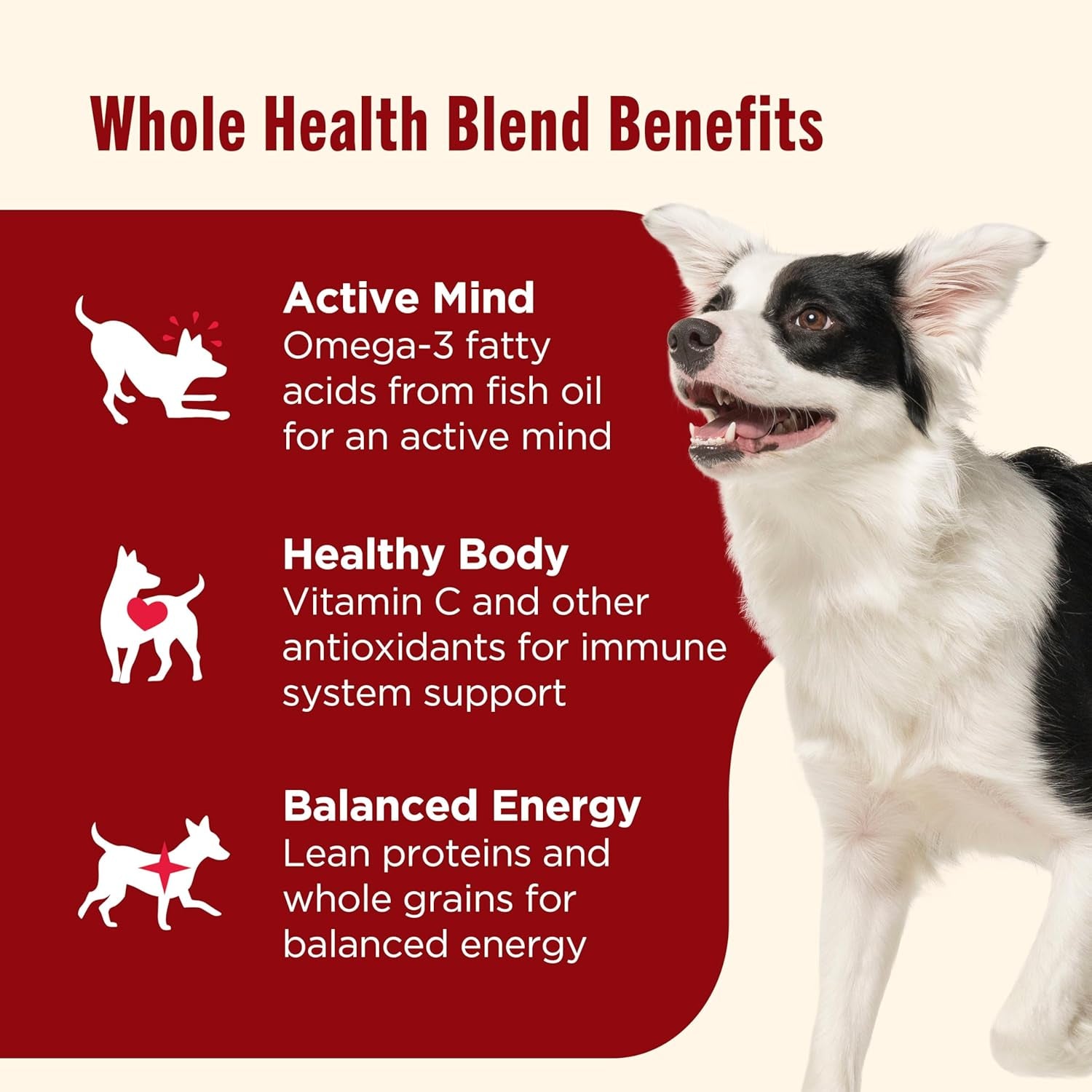 Dry Dog Food, Real Beef, Pea & Brown Rice Recipe Whole Health Blend for Adult Dogs, 40 Lb. Bag, Packaging May Vary (Rachael Ray)