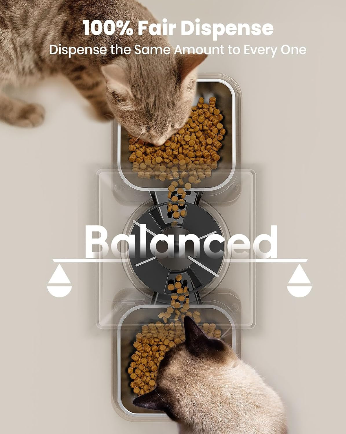 Automatic Cat Feeder for 2 Cats, 20 Cups/5L Automatic Cat Food Dispenser for Small Pets Indoor, Timed Cat Feeder for Dry Food