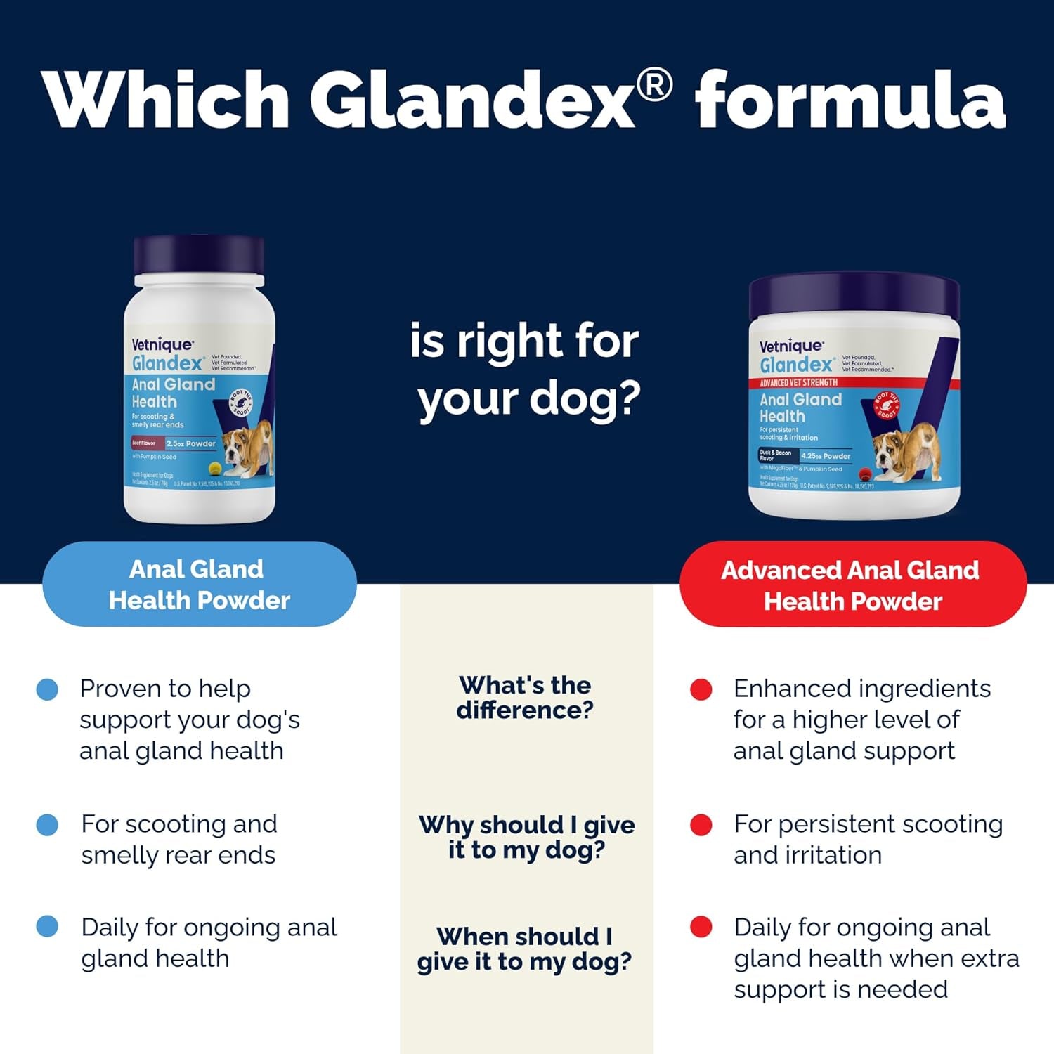 Glandex Dog Fiber Supplement Powder for Anal Glands with Pumpkin, Digestive Enzymes & Probiotics - Vet Recommended (Regular or Advanced Strength) - Boot the Scoot (5.5Oz Powder, Beef Liver)