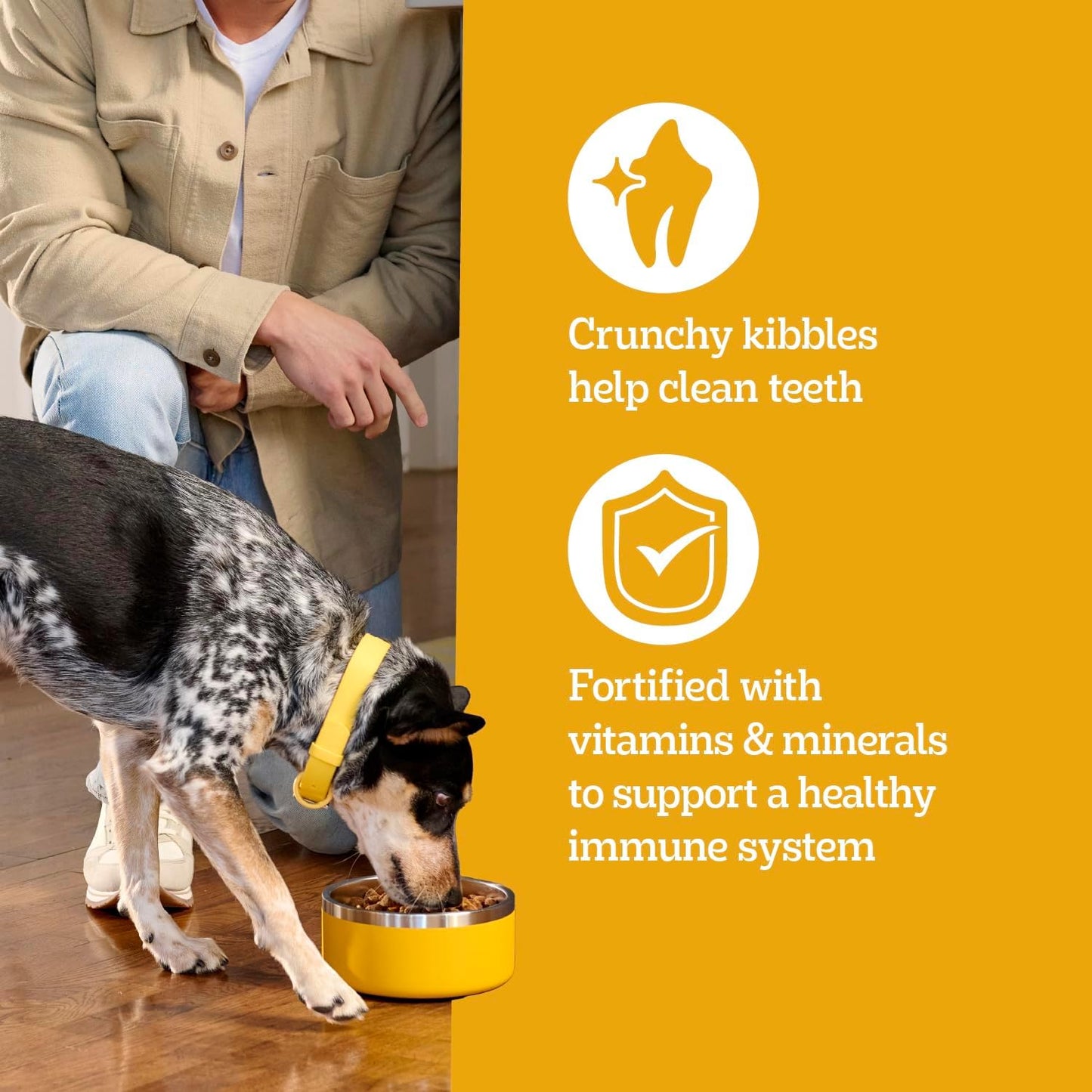 High Protein Adult Dry Dog Food, Chicken and Turkey Flavor, 18 Lb. Bag