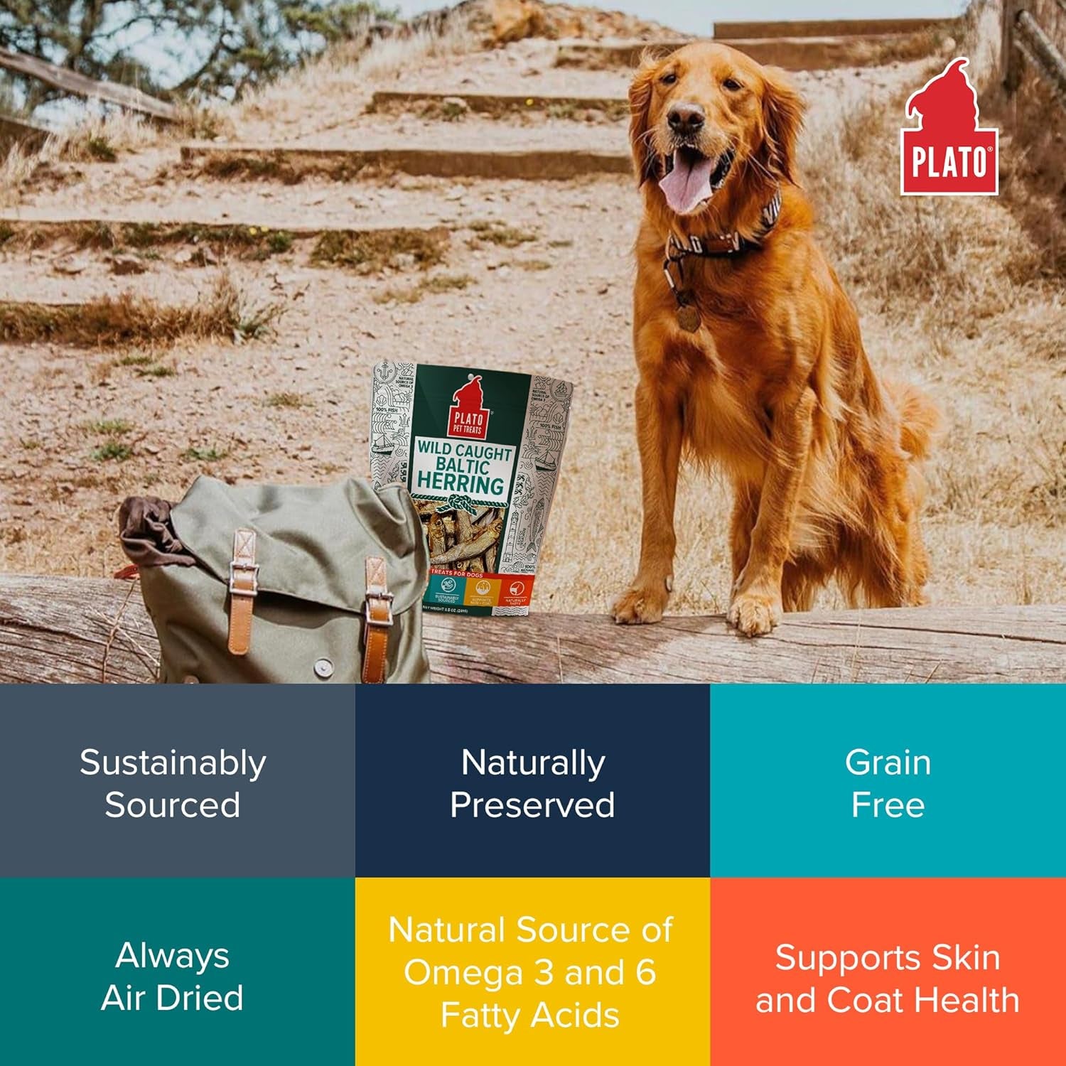 Pet Treats Fish Dog Treats - Air-Dried, Single Ingredient Dog Treat - with Omega 3 & 6 Fatty Acids to Support Skin and Coat - 100% Whole Fish - Wild Caught Baltic Herring Dog Treats - 8.5 Oz