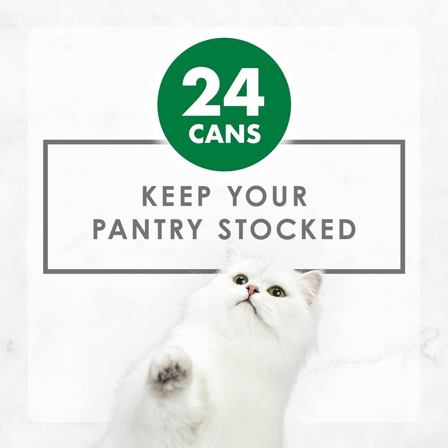 Purina  Chunky Chicken Feast Wet Cat Food - (Pack of 24) 3 Oz. Cans