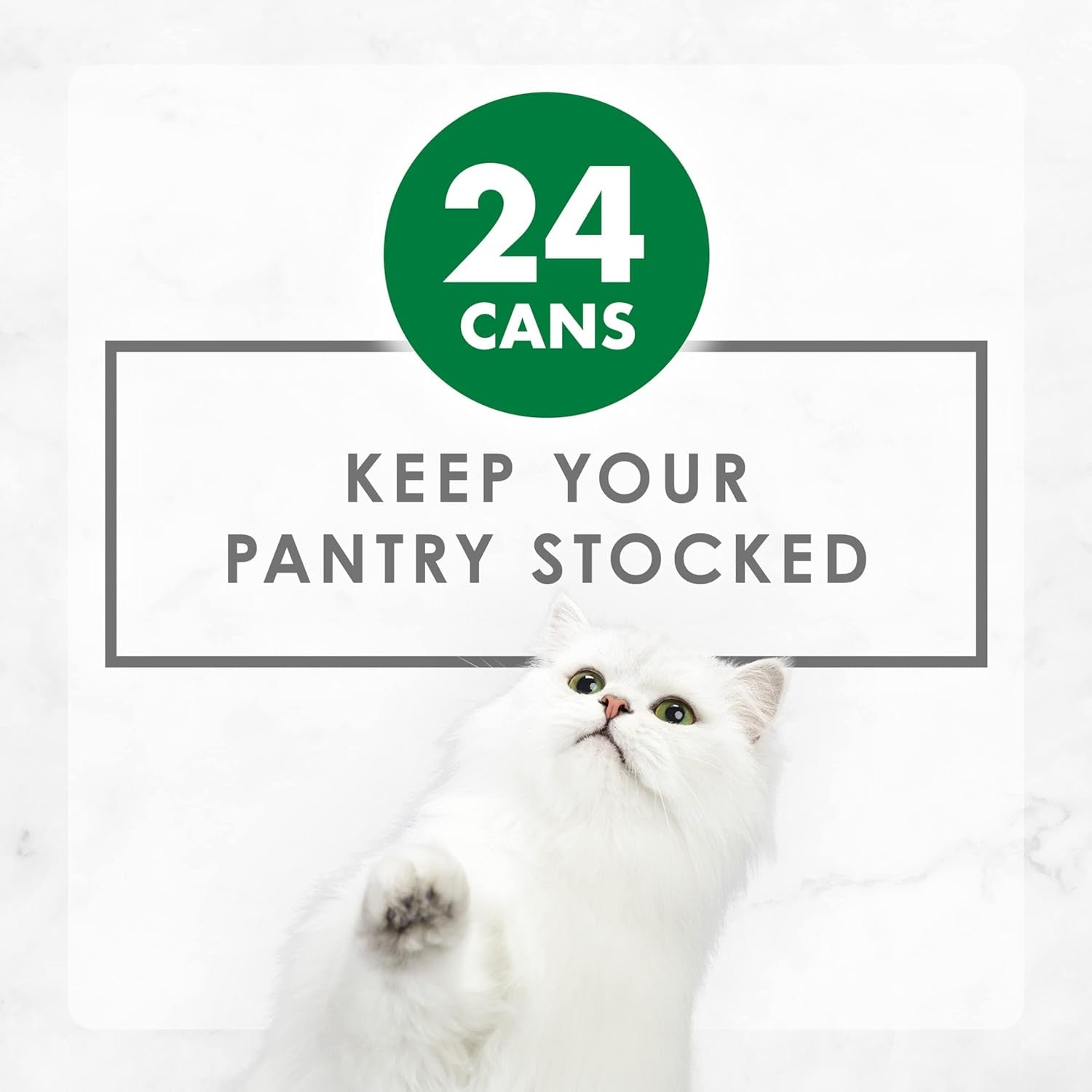 Purina  Chunky Chicken Feast Wet Cat Food - (Pack of 24) 3 Oz. Cans