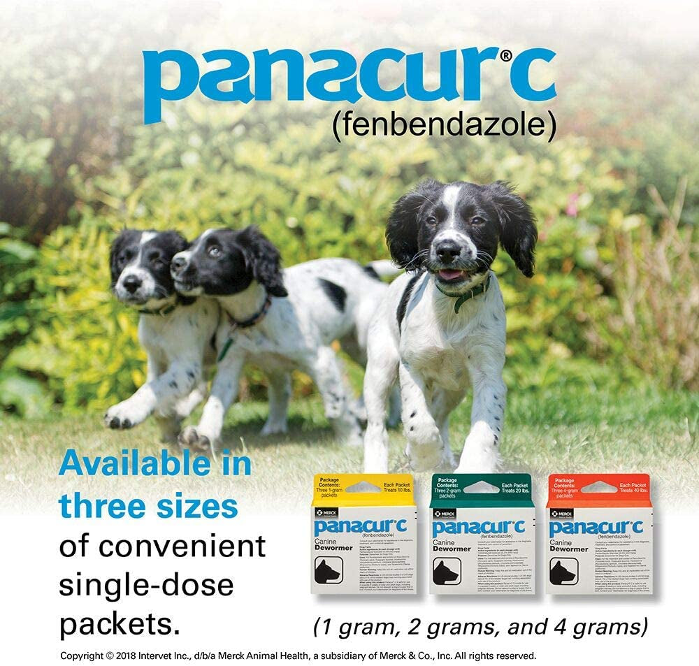 C Canine Dewormer (Fenbendazole), 1 Gram, Yellow, 3 Count (Pack of 1)