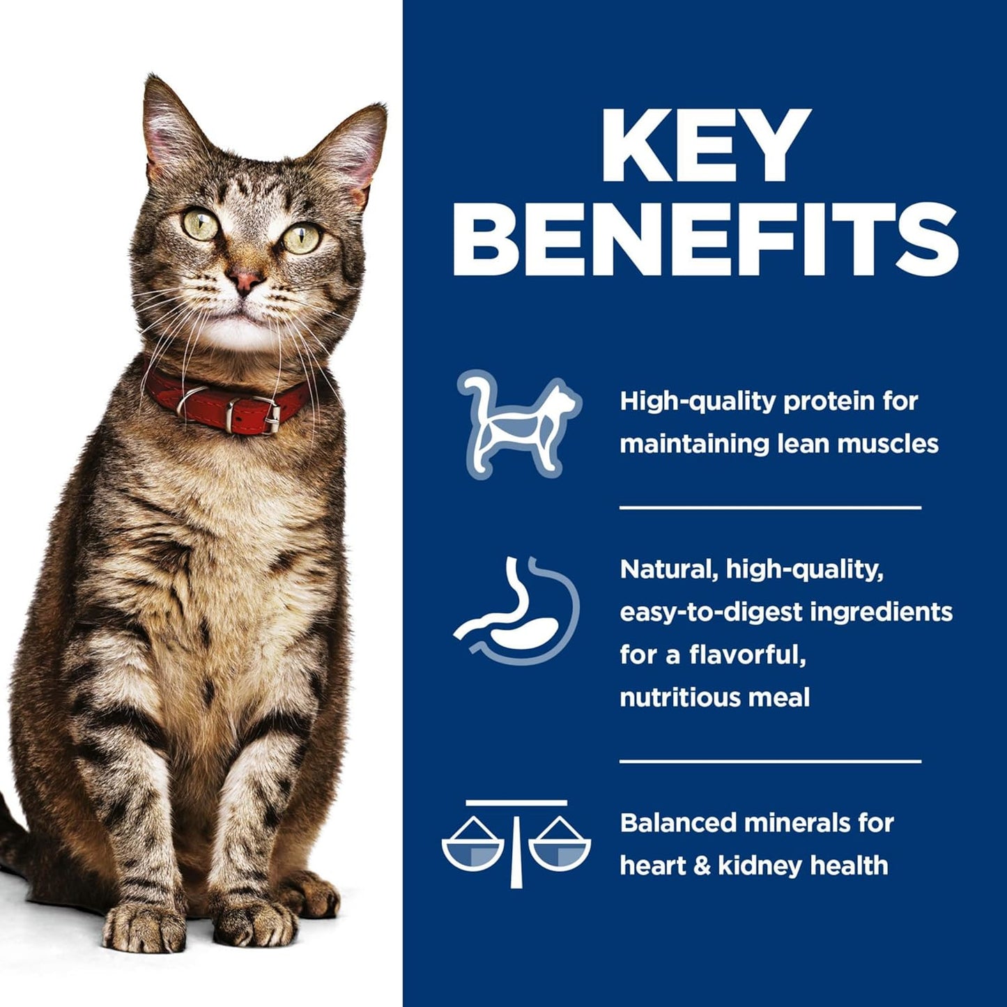 Adult 1-6, Adult 1-6 Premium Nutrition, Wet Cat Food, Variety Pack: Tuna; Chicken; Ocean Fish Stew, 5.5 Oz Can Variety Pack, Case of 12