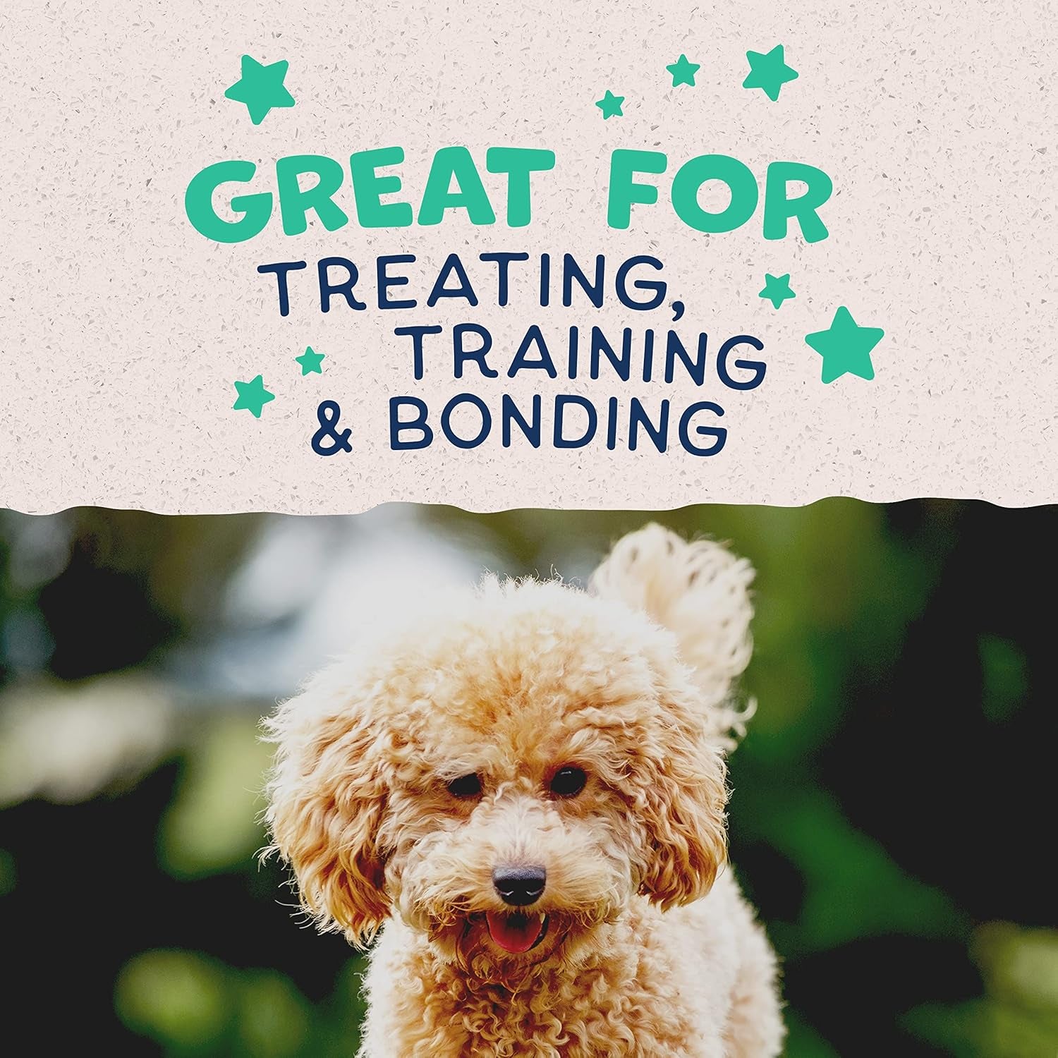 Limited Ingredient Mini-Rewards Chicken Grain-Free, Training Treats for Dogs | 5.3-Oz. Canister