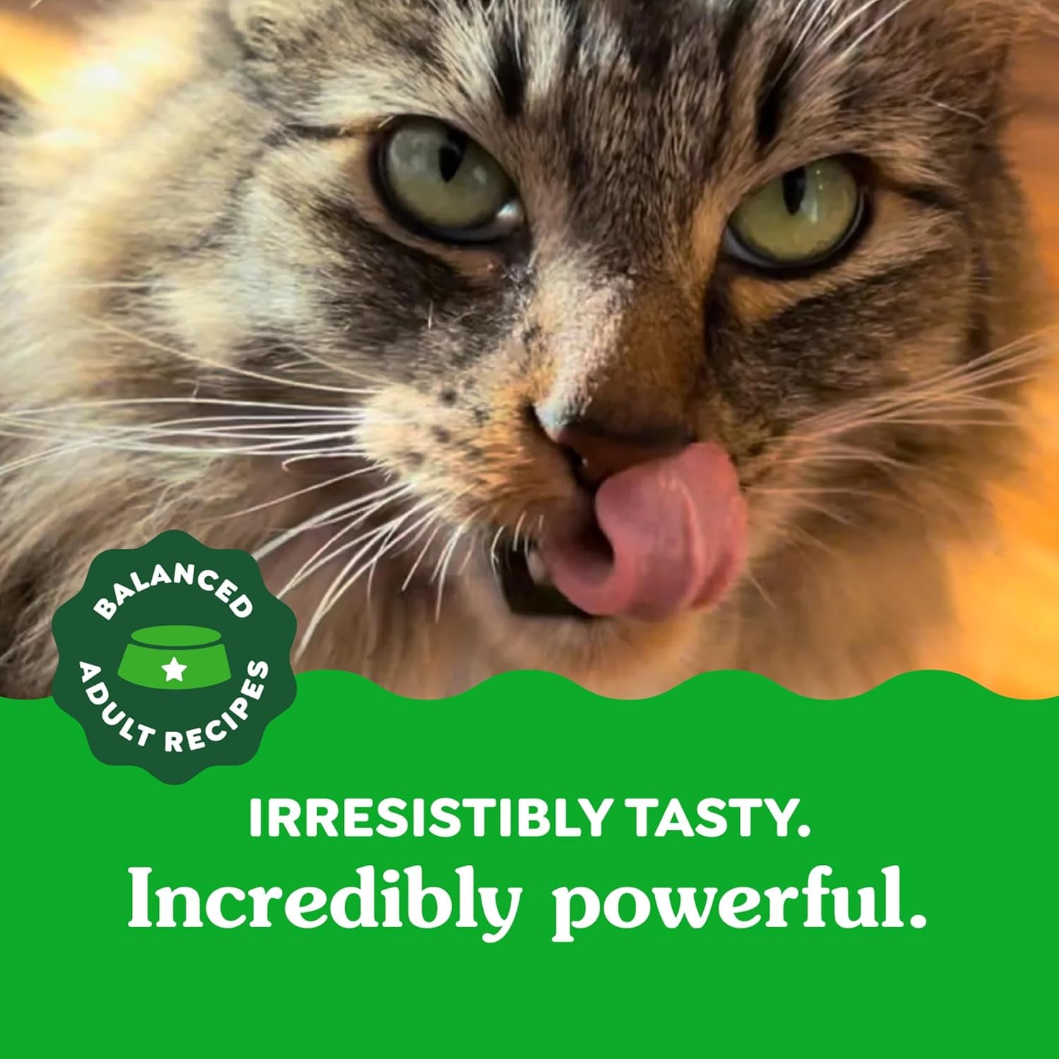 Feline Adult Dental Cat Treats, Catnip Flavor, 9.75 Oz. Tub