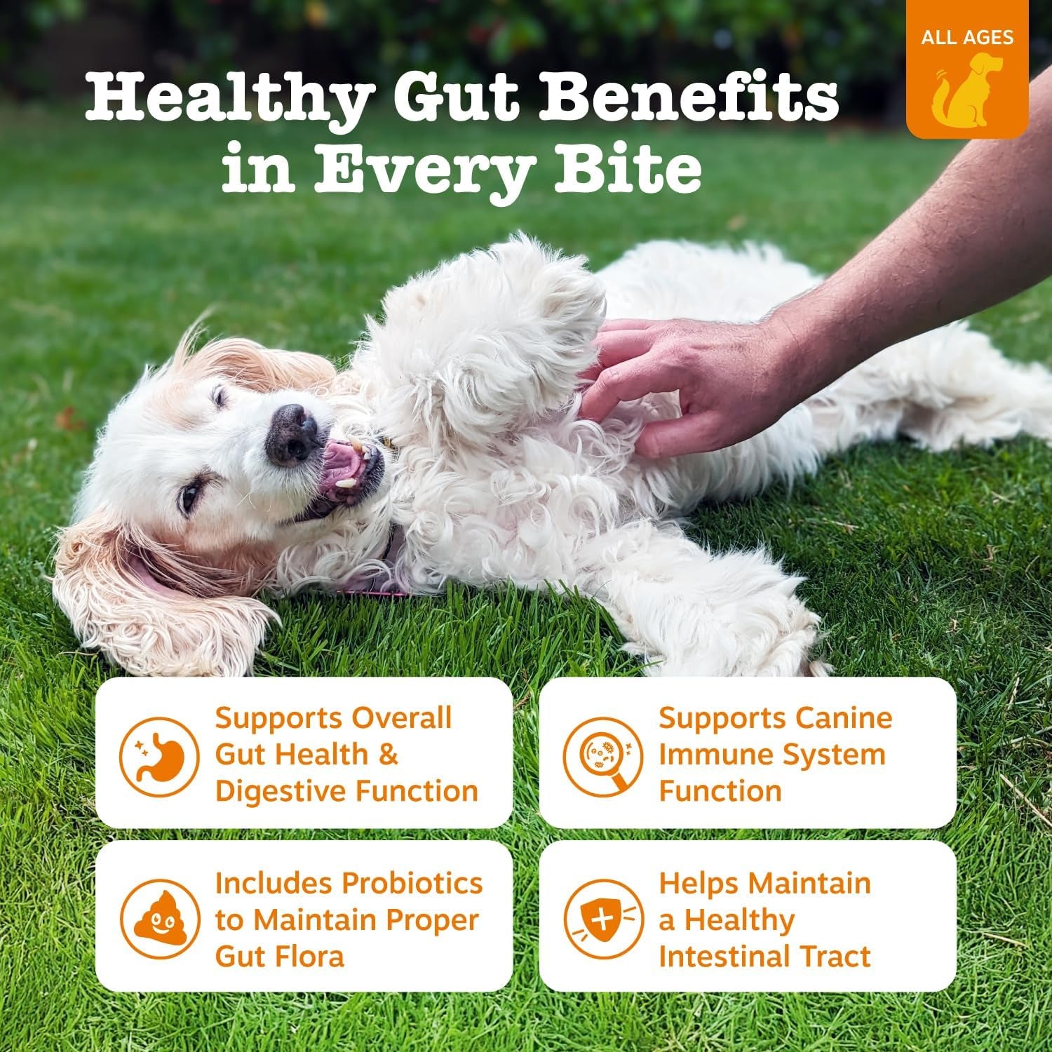 Probiotics for Dogs - Digestive Enzymes for Gut Flora, Digestive Health, Diarrhea & Bowel Support - Clinically Studied DE111 - Dog Supplement Soft Chew for Pet Immune System - Pumpkin