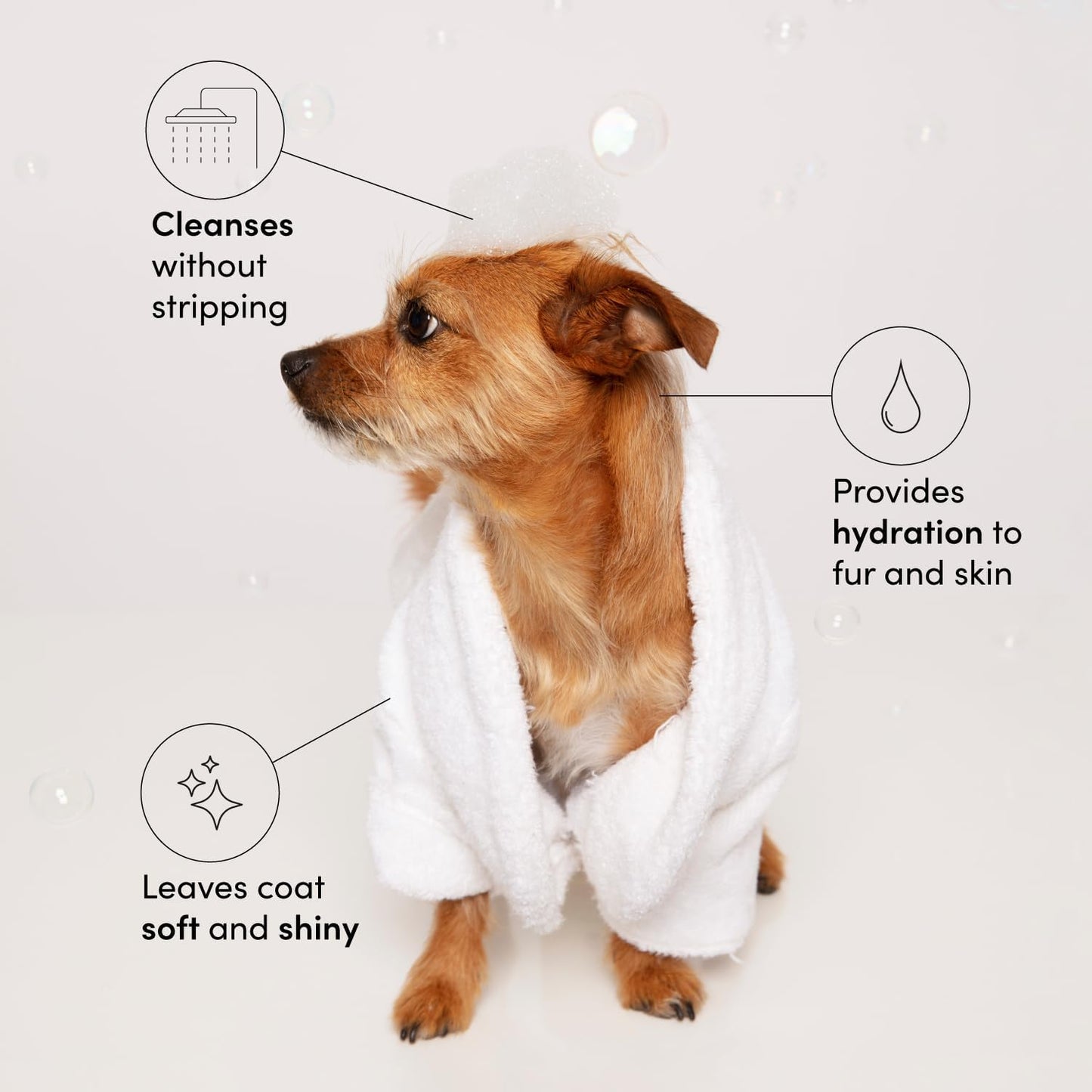 Fur Bébé Pet Shampoo, Mercer Street Scent - Dog Shampoo and Coat Wash for Hydrating, Cleansing and Adding Shine - Pet Supplies by  (16 Fl Oz)