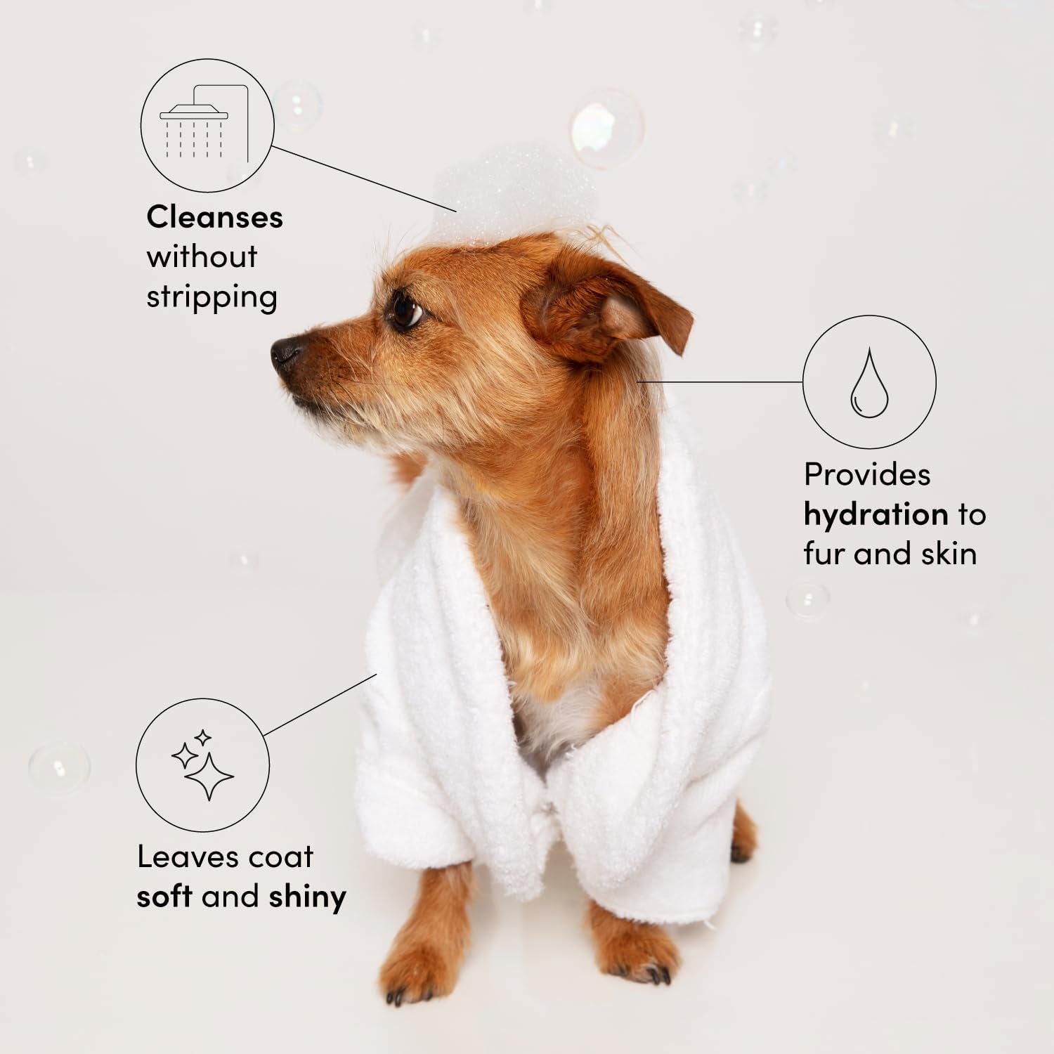 Fur Bébé Pet Shampoo, Mercer Street Scent - Dog Shampoo and Coat Wash for Hydrating, Cleansing and Adding Shine - Pet Supplies by  (16 Fl Oz)
