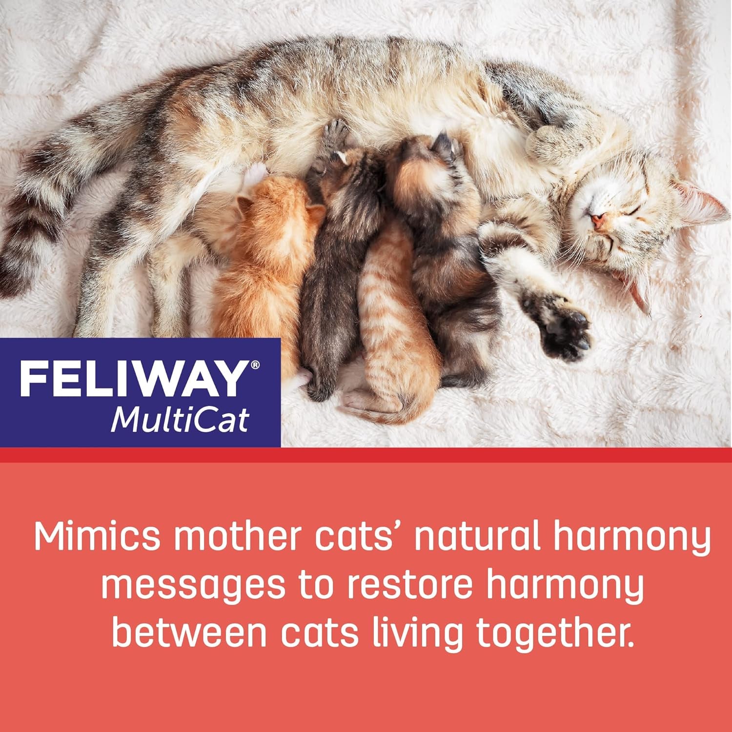 ® Multicat 3 X 30 Day Cat Calming Refills for Pheromone Diffuser, 3 X 48Ml Value Pack- Helps Reduce Conflicts and Signs of Tension in Multi-Cat Households