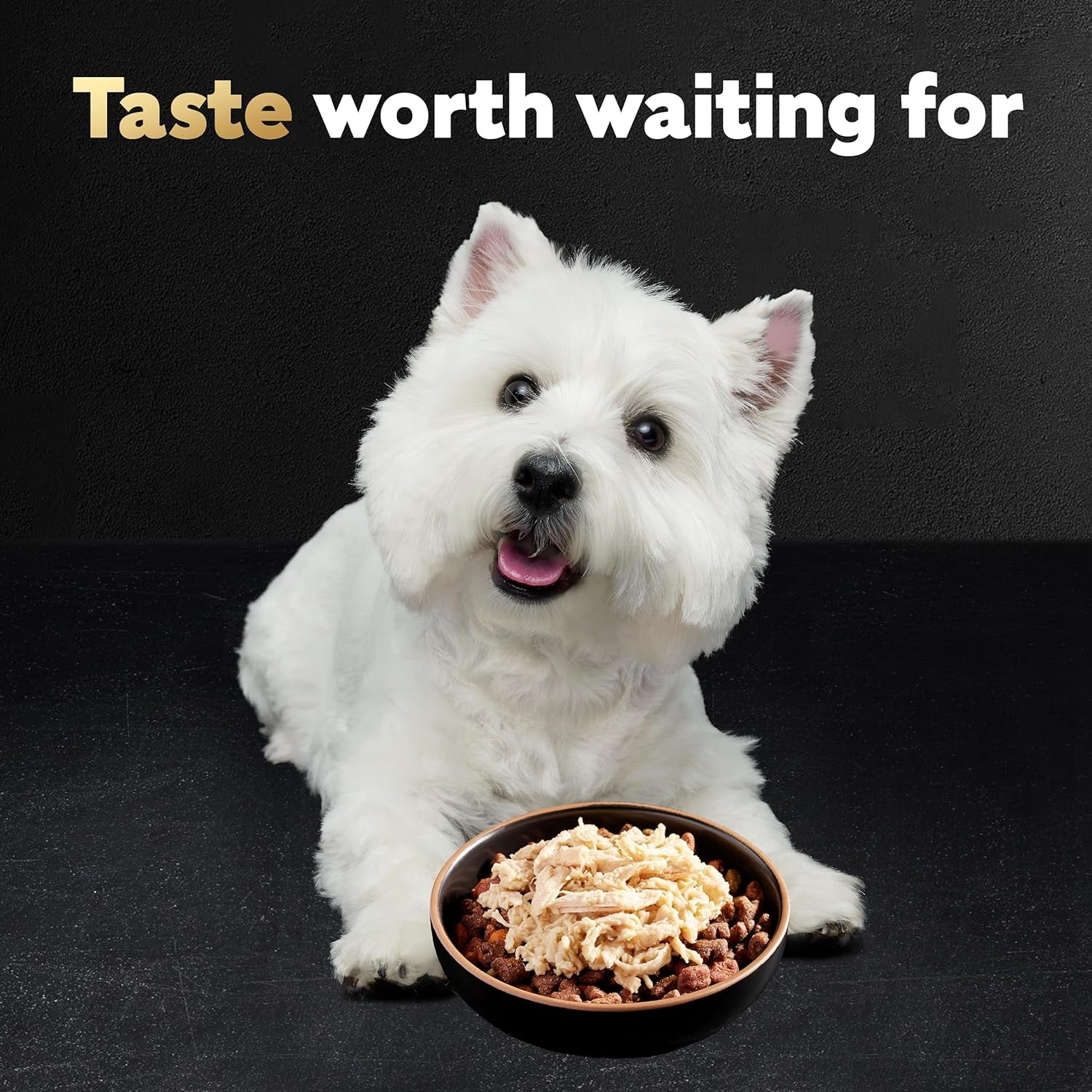 Wholesome Bowls Adult Wet Dog Food, Chicken Recipe, 3 Oz. (10 Count, Pack of 1)